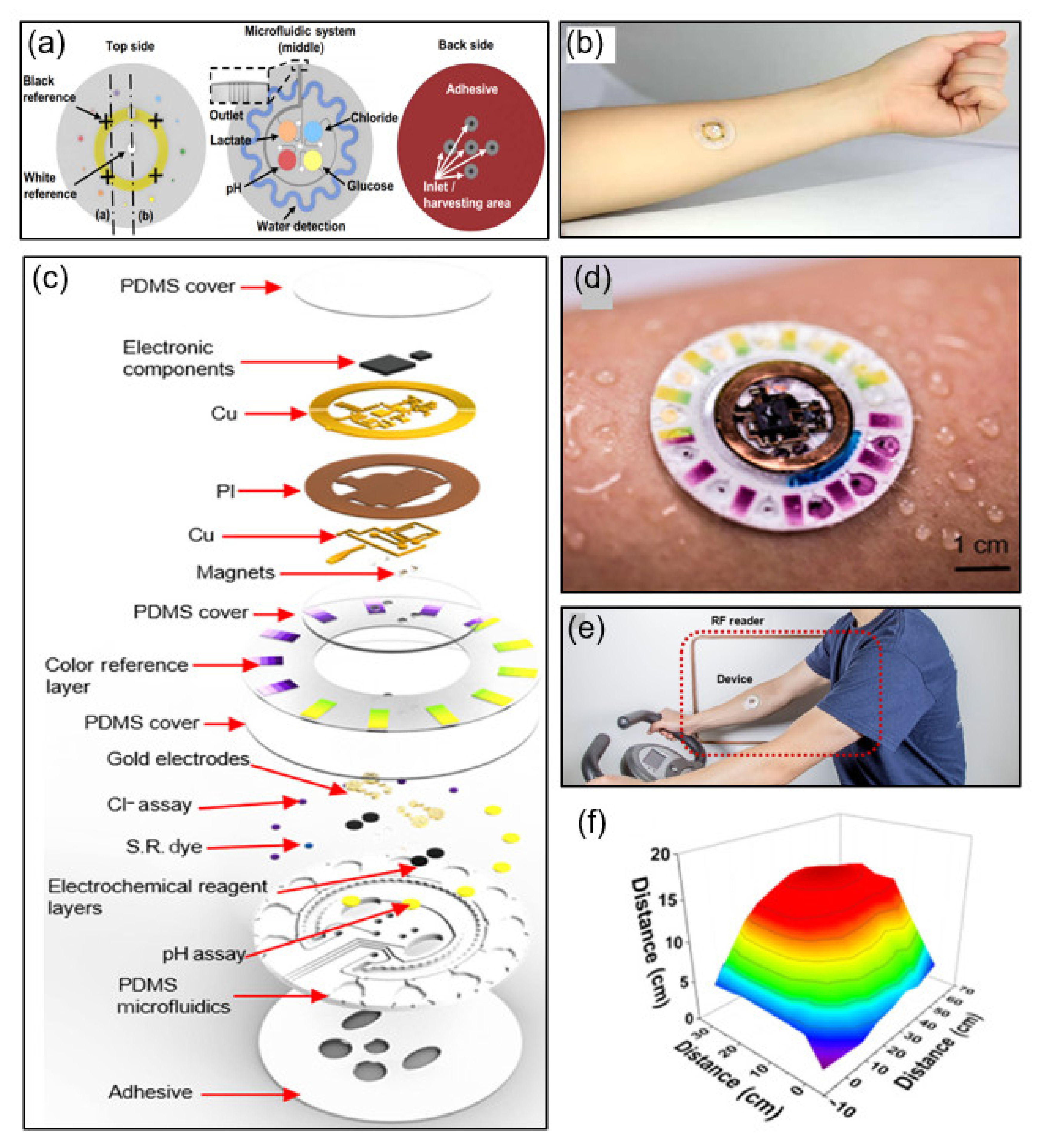 Sensors 21 00703 g007