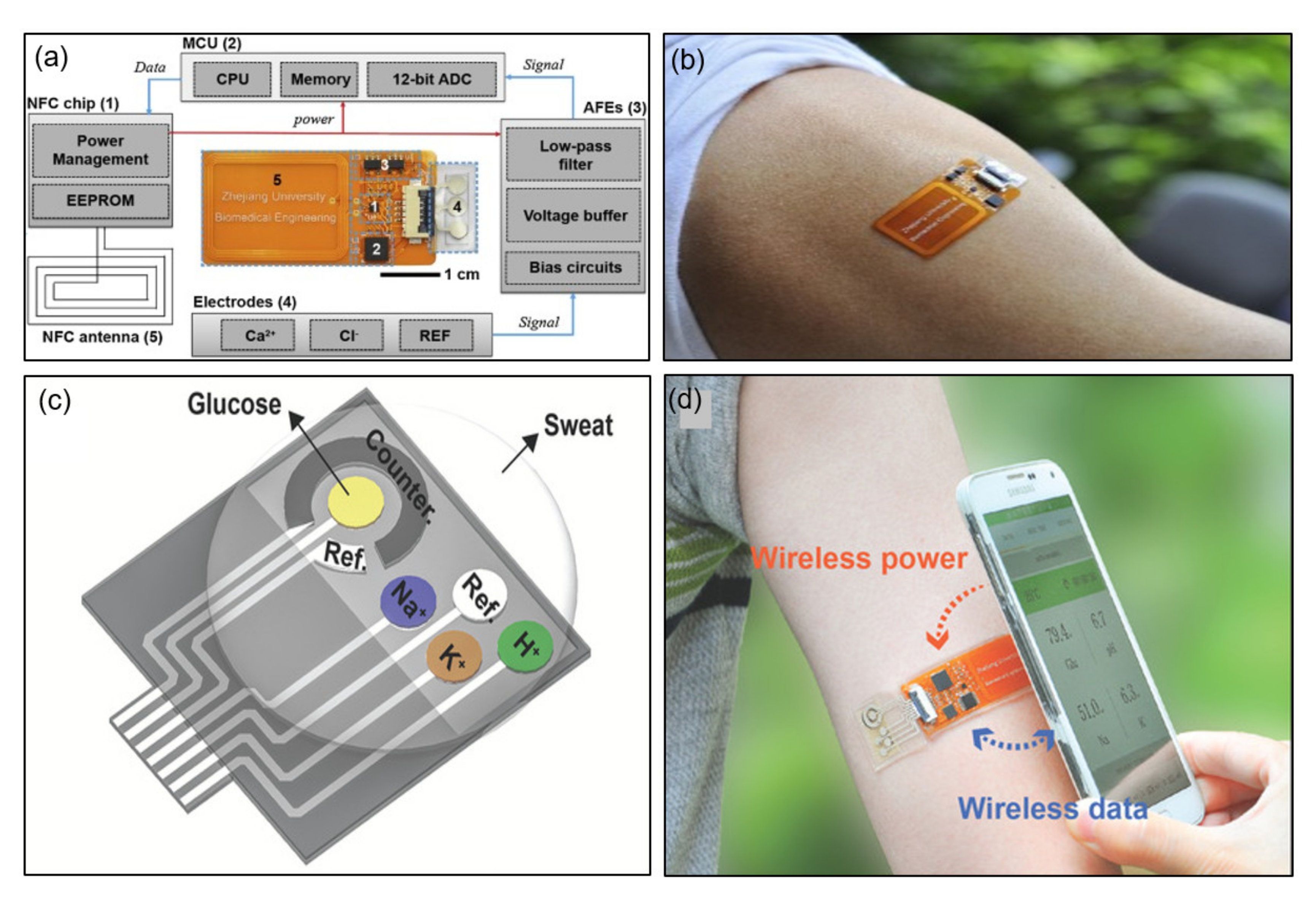 Sensors 21 00703 g008