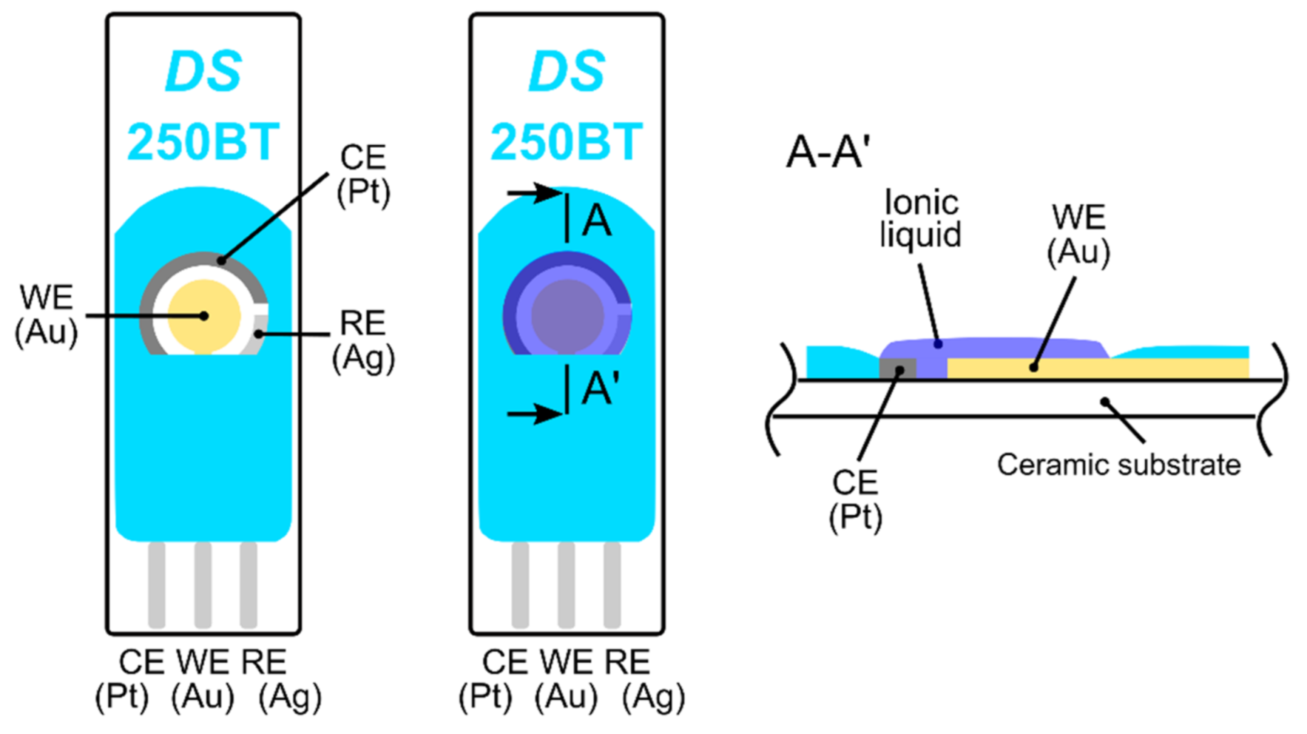 Sensors 21 00711 g001