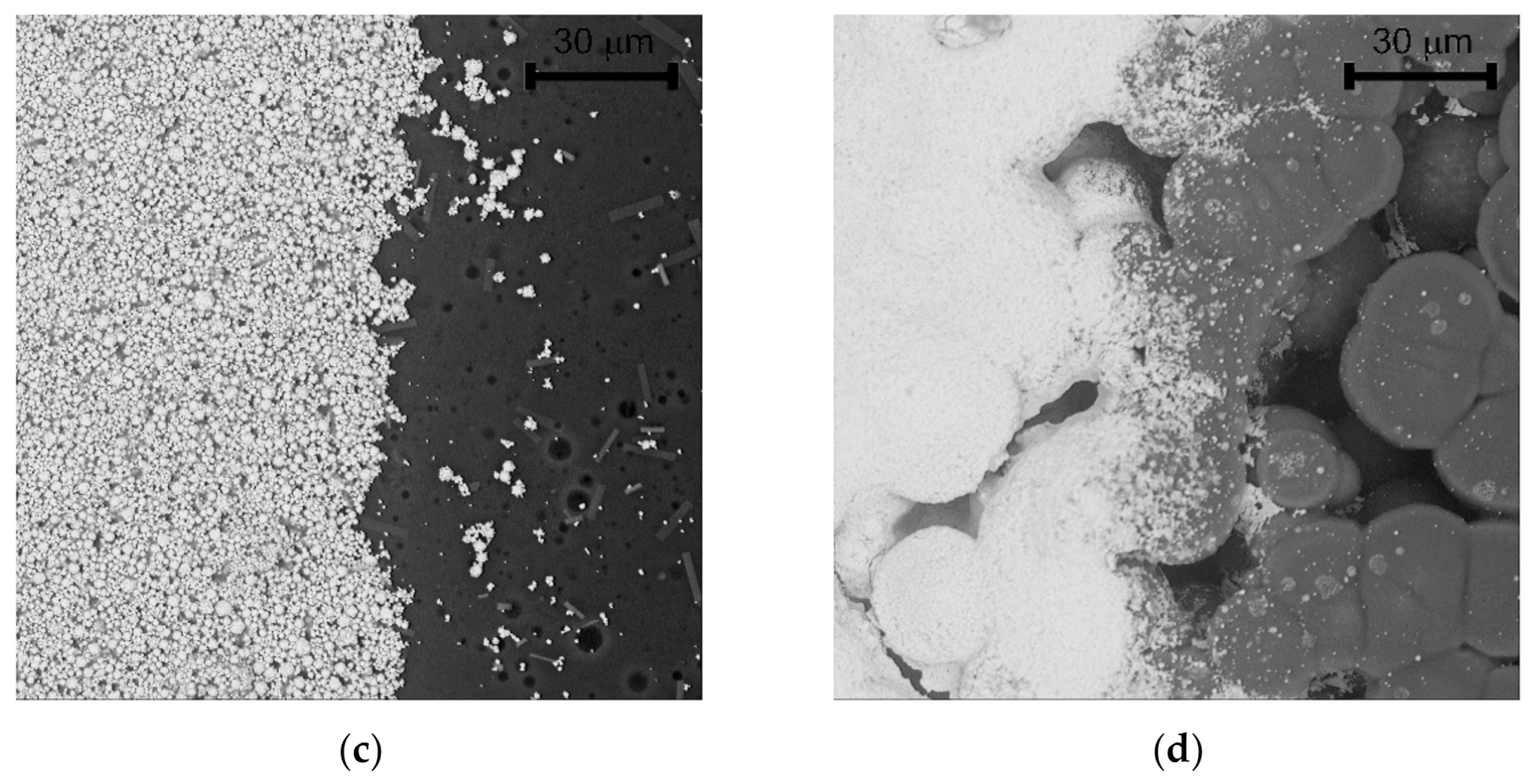 Sensors 21 00711 g005b