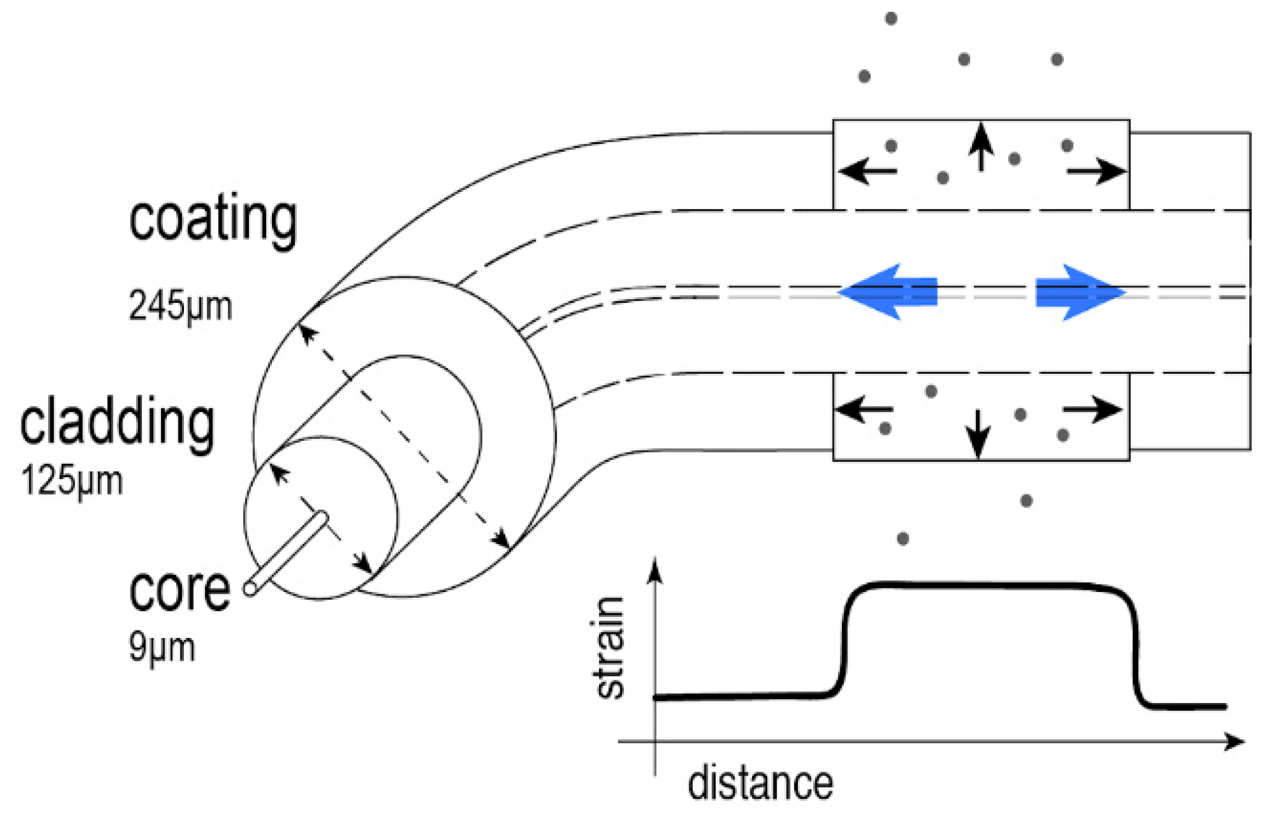 Sensors 21 00718 g001
