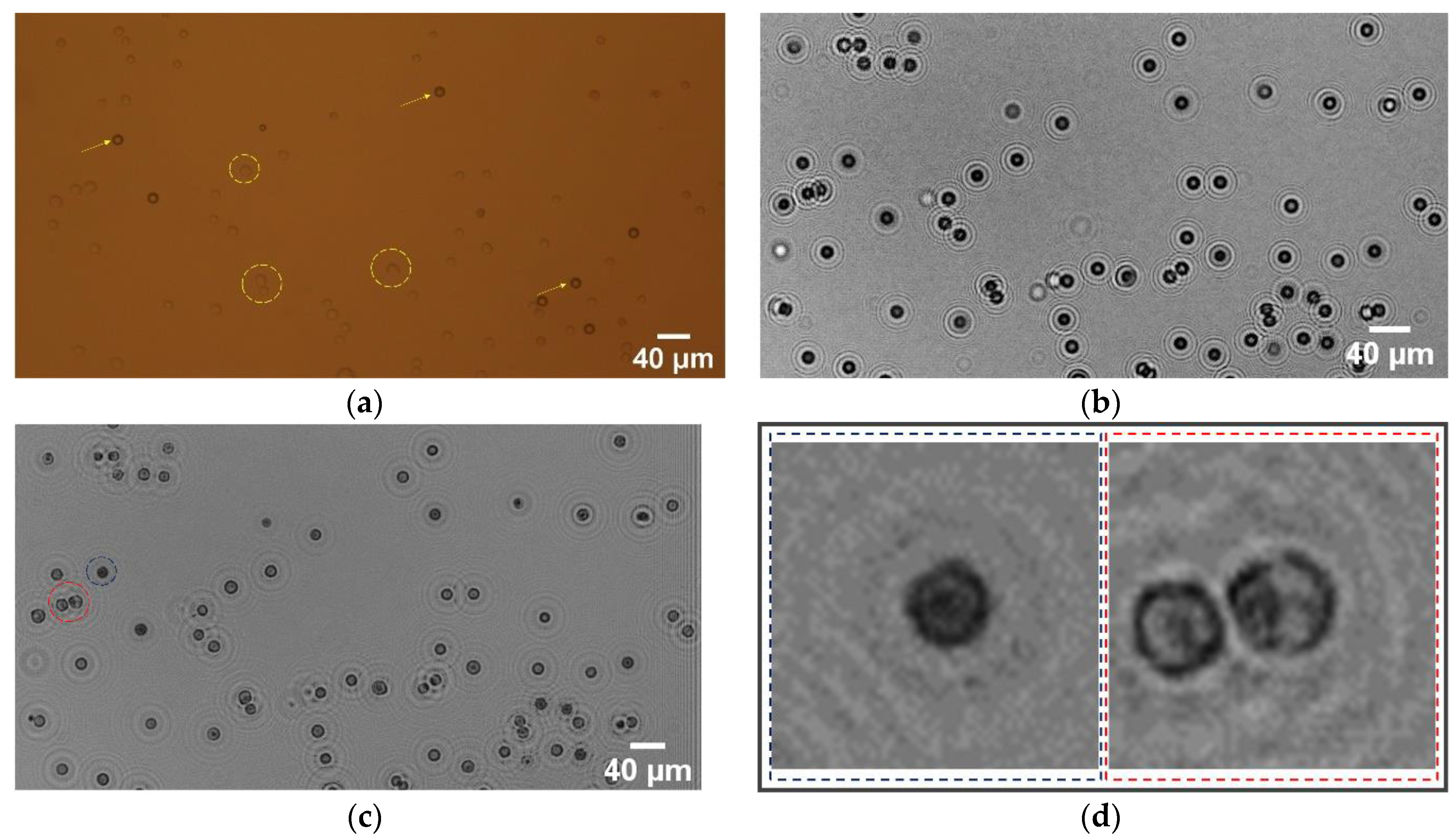 Sensors 21 00720 g004