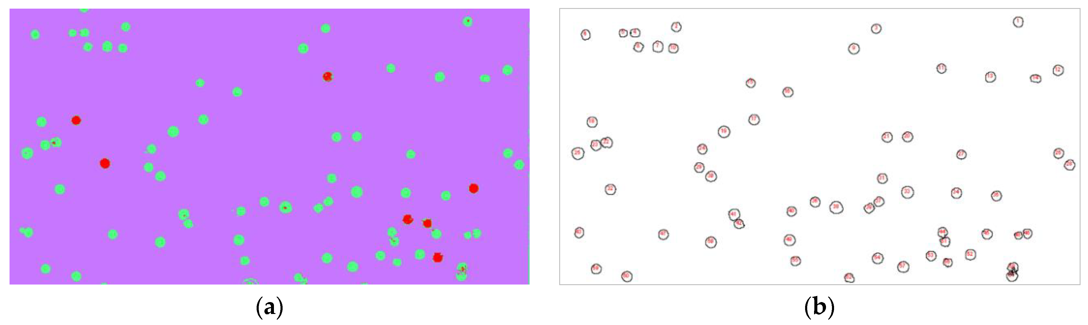 Sensors 21 00720 g005