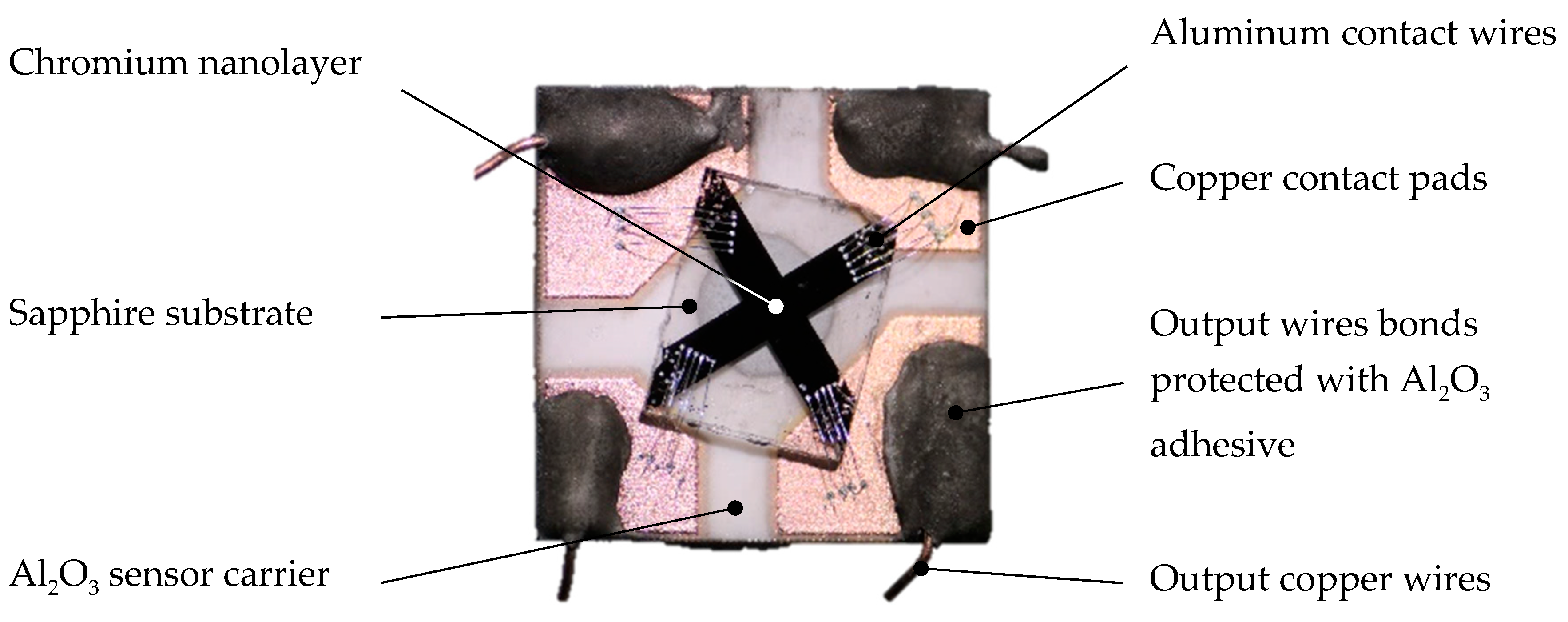 Sensors 21 00721 g001