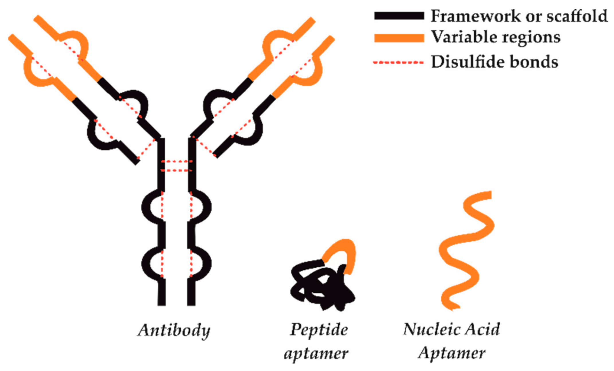 Sensors 21 00724 g001
