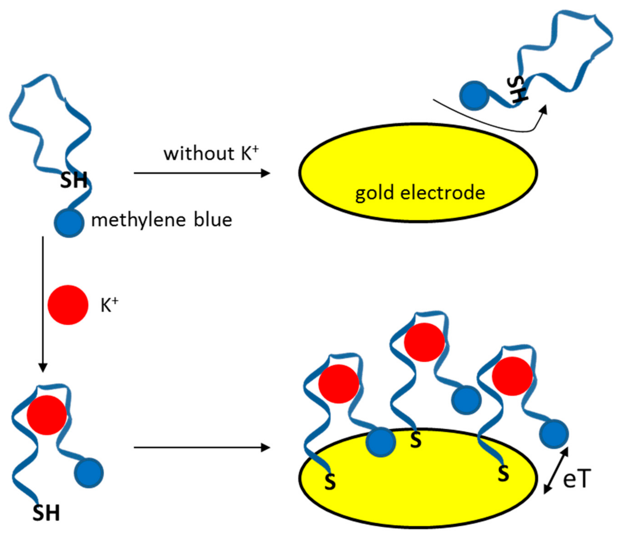 Sensors 21 00724 g005