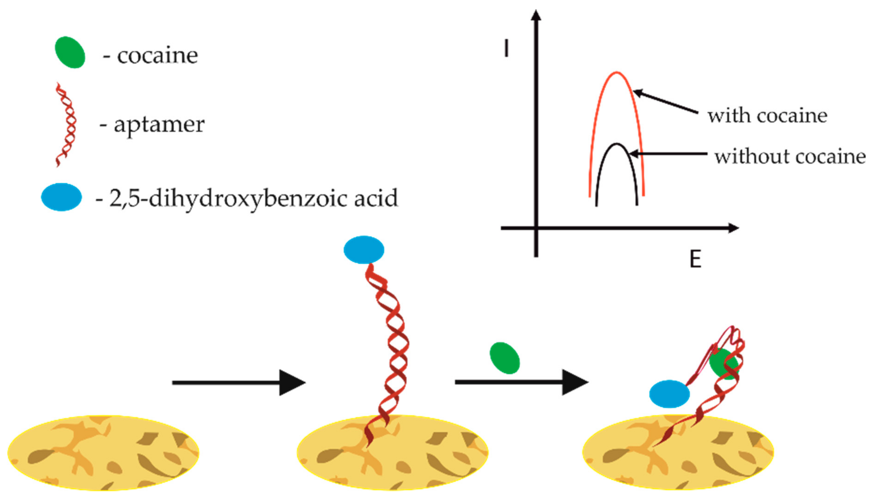 Sensors 21 00724 g006