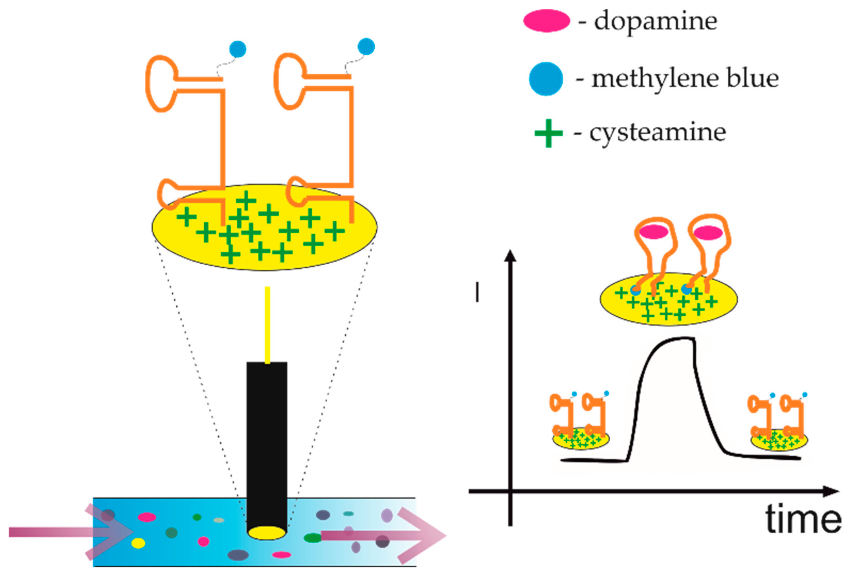 Sensors 21 00724 g007