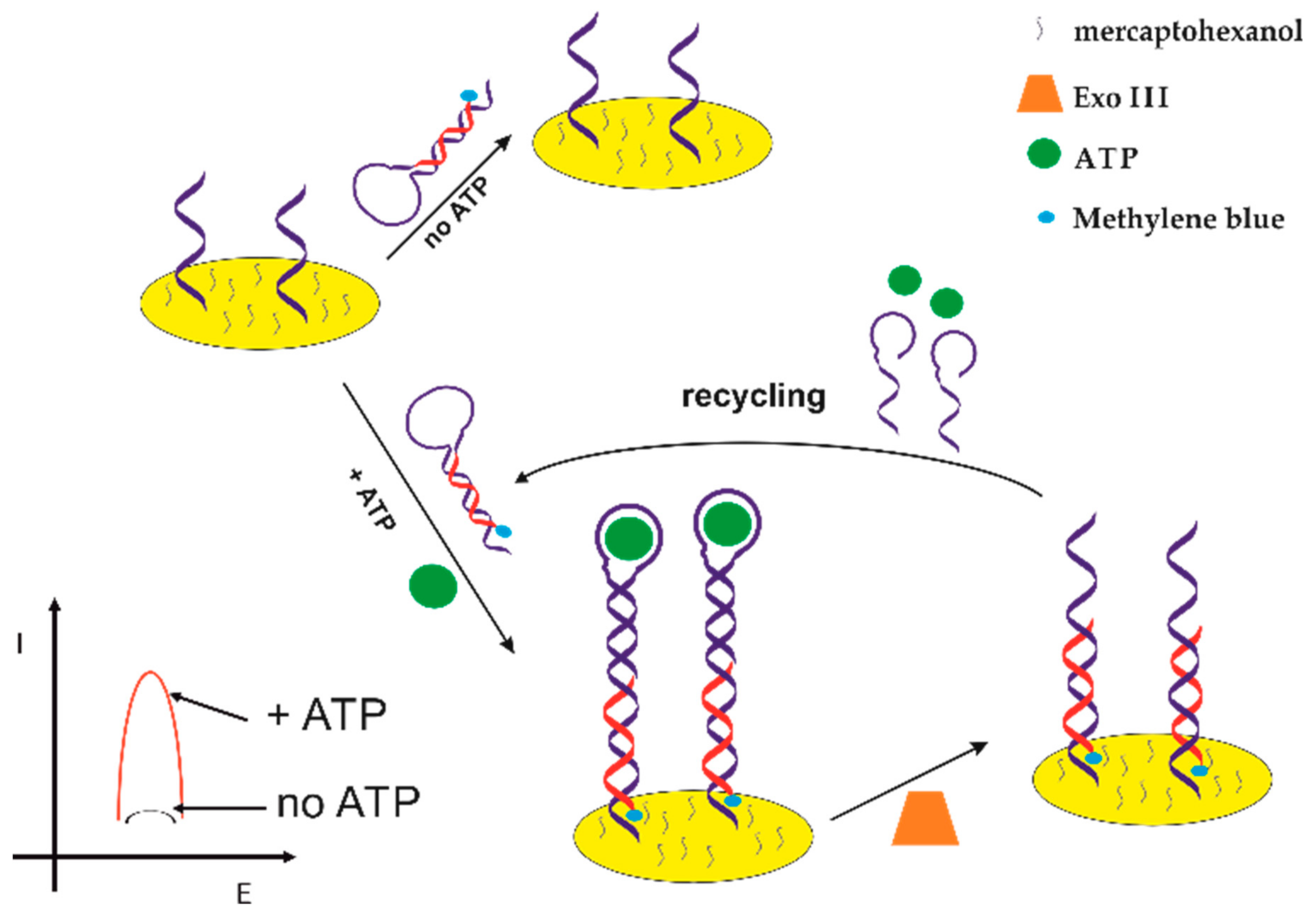 Sensors 21 00724 g008