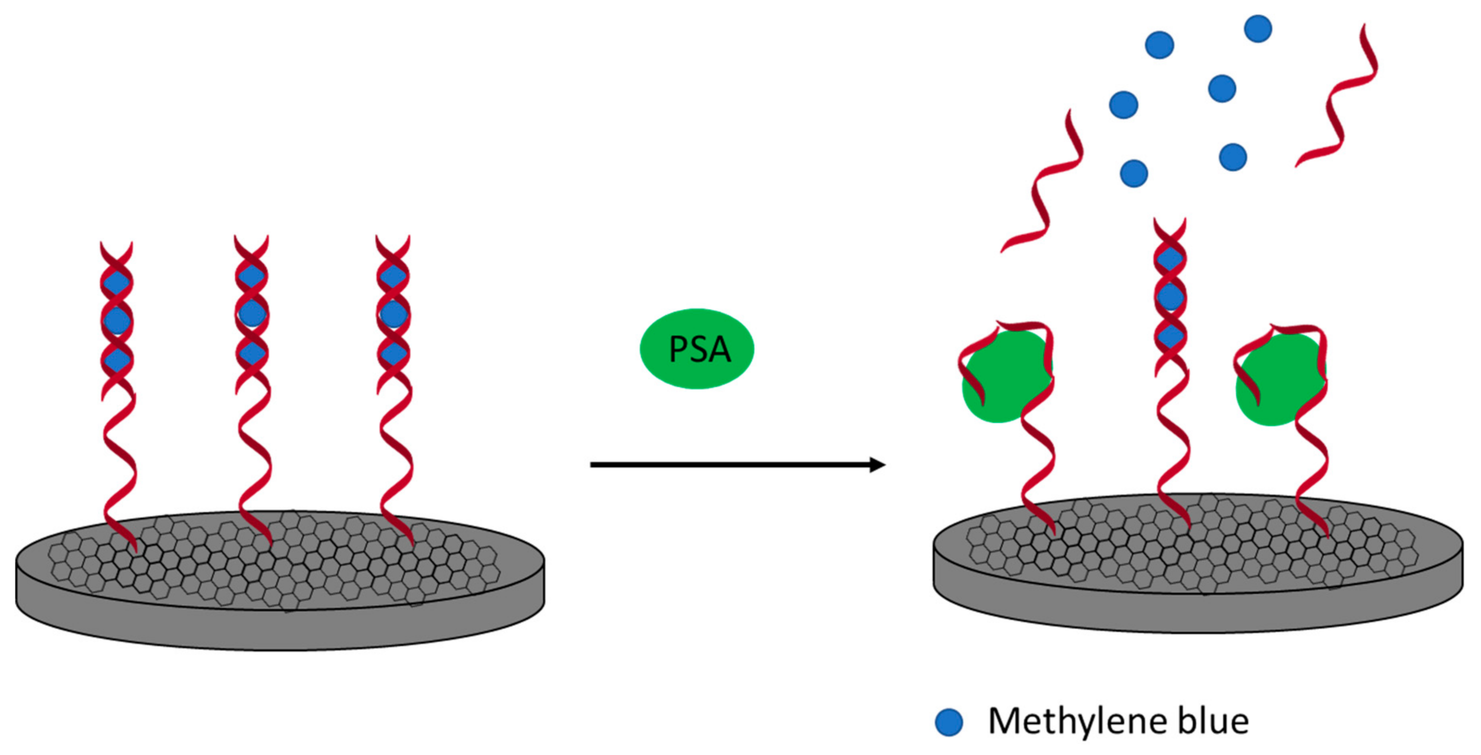 Sensors 21 00724 g009