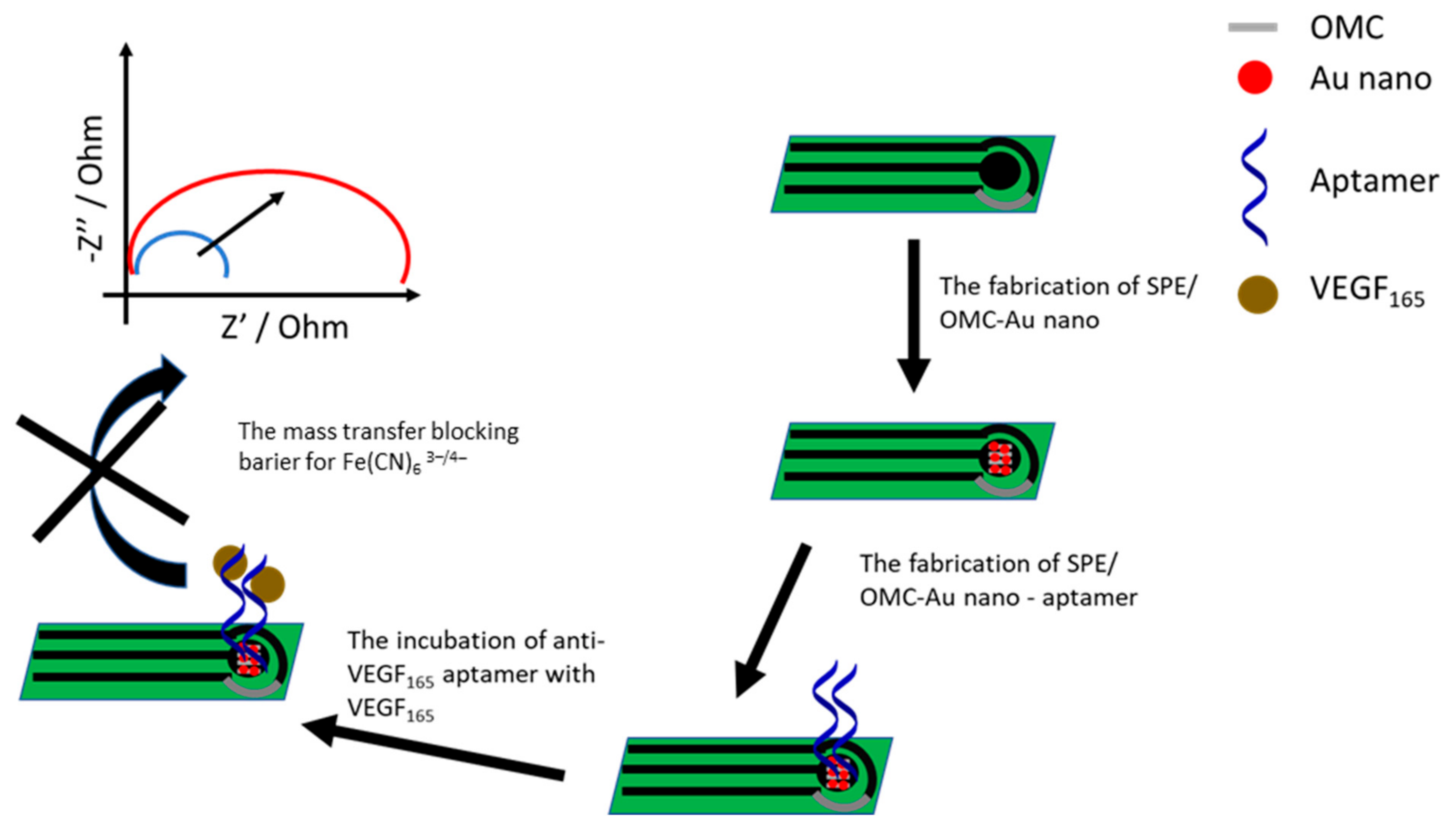Sensors 21 00724 g010
