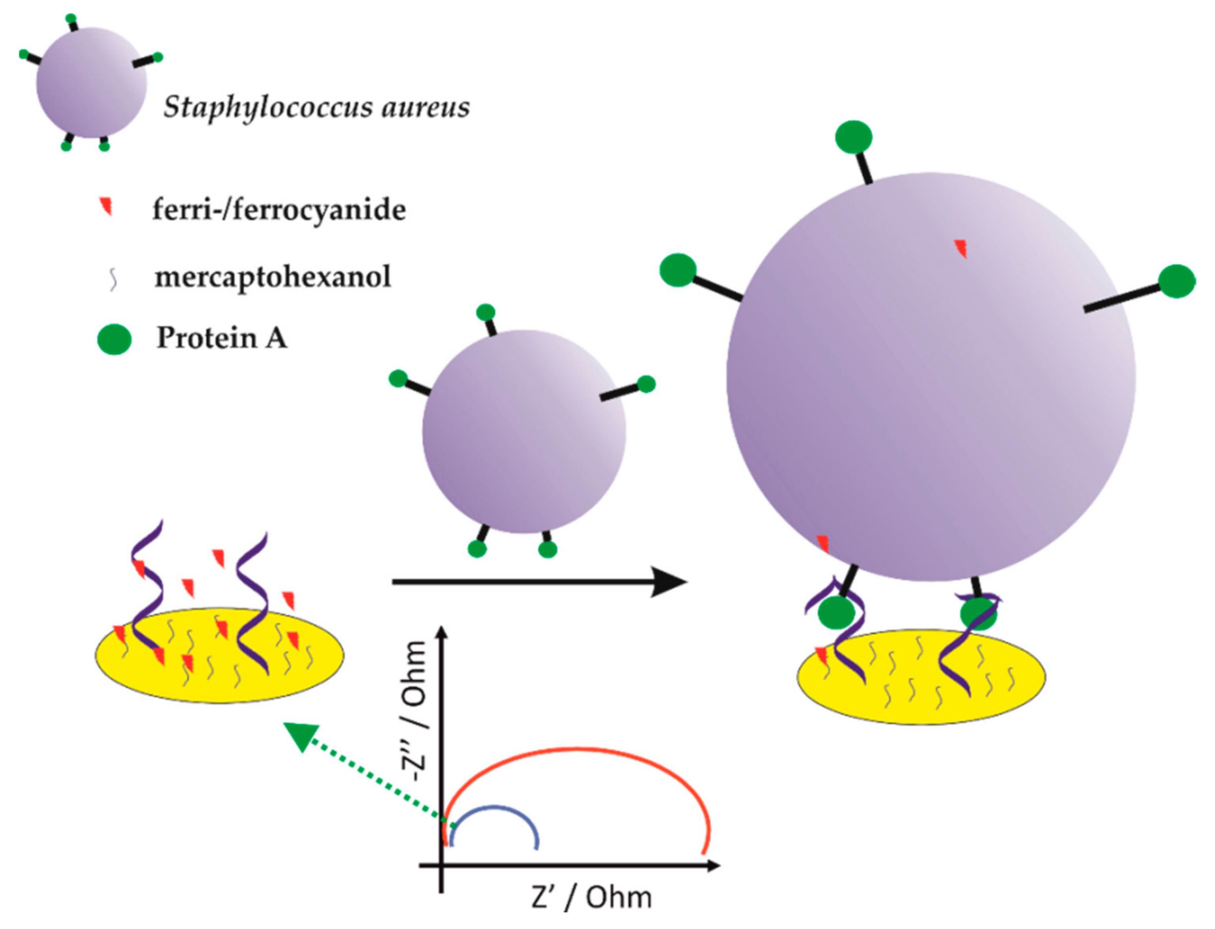 Sensors 21 00724 g013