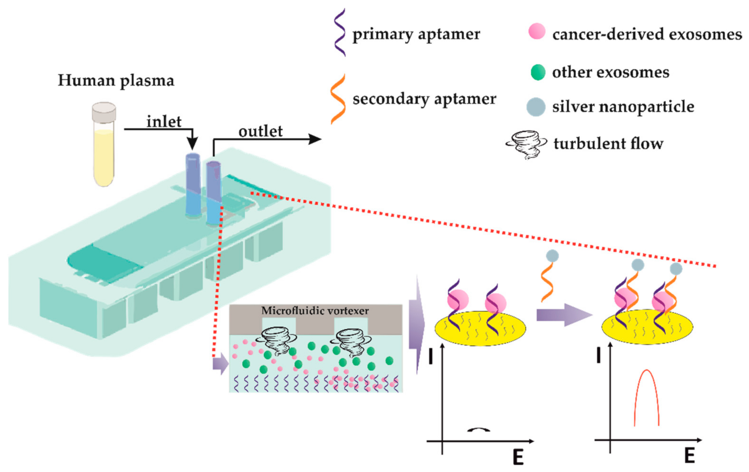 Sensors 21 00724 g015