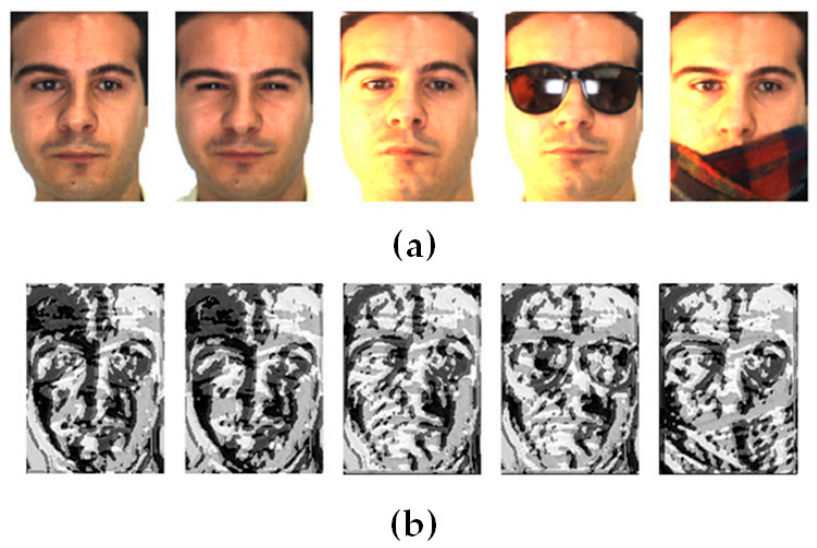 Sensors 21 00728 g003