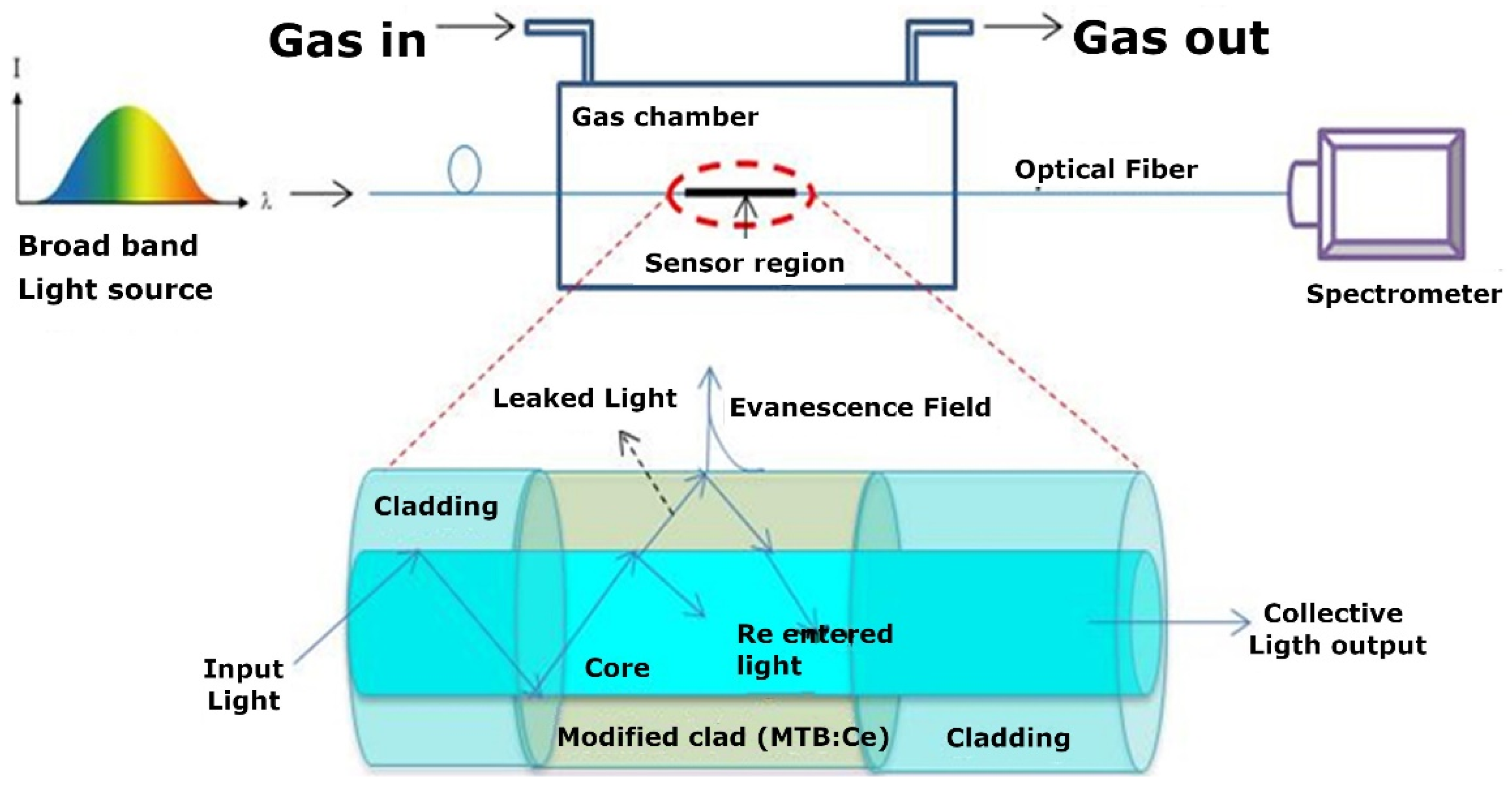 Sensors 21 00731 g003
