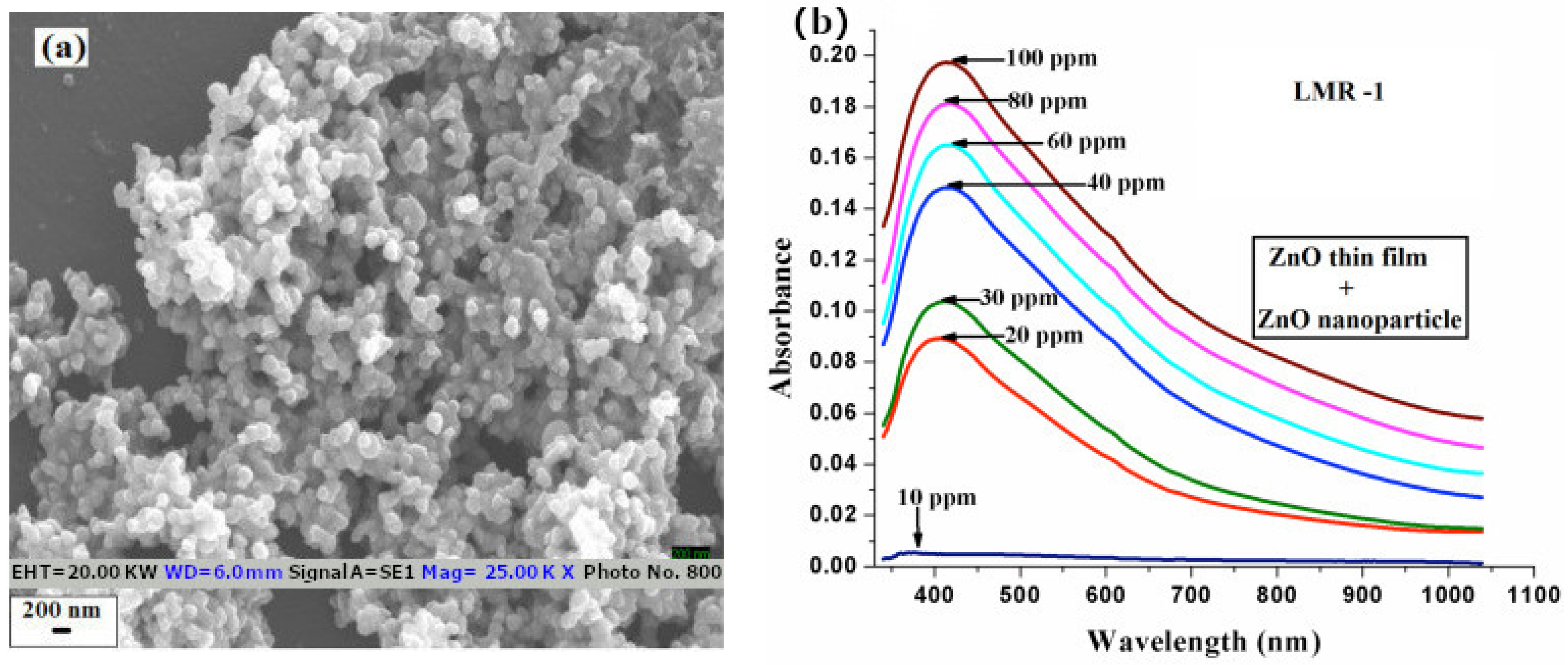 Sensors 21 00731 g005