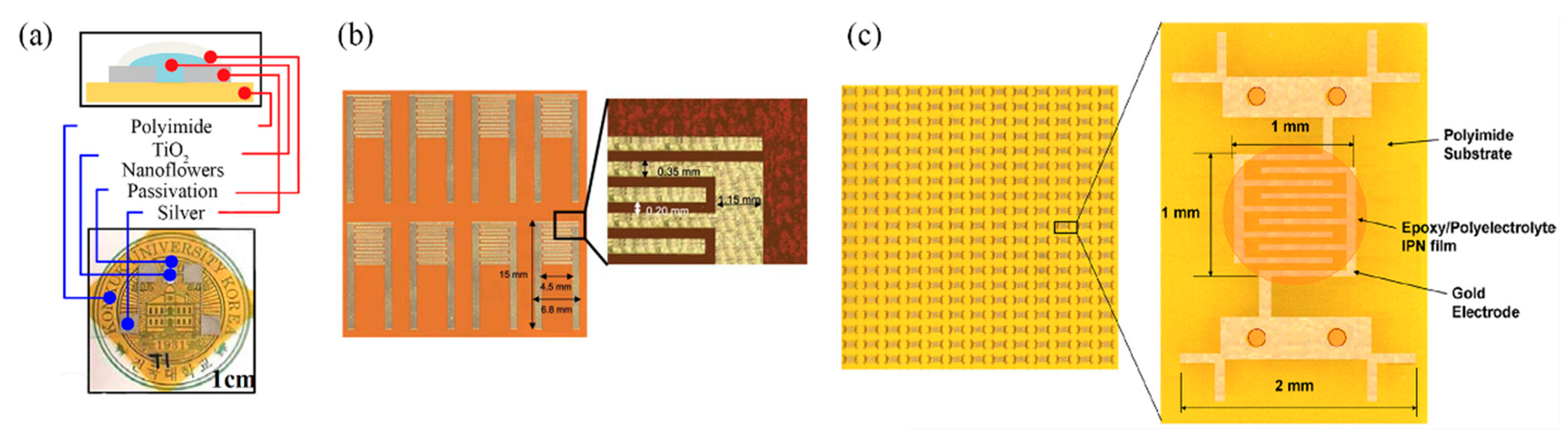 Sensors 21 00739 g006