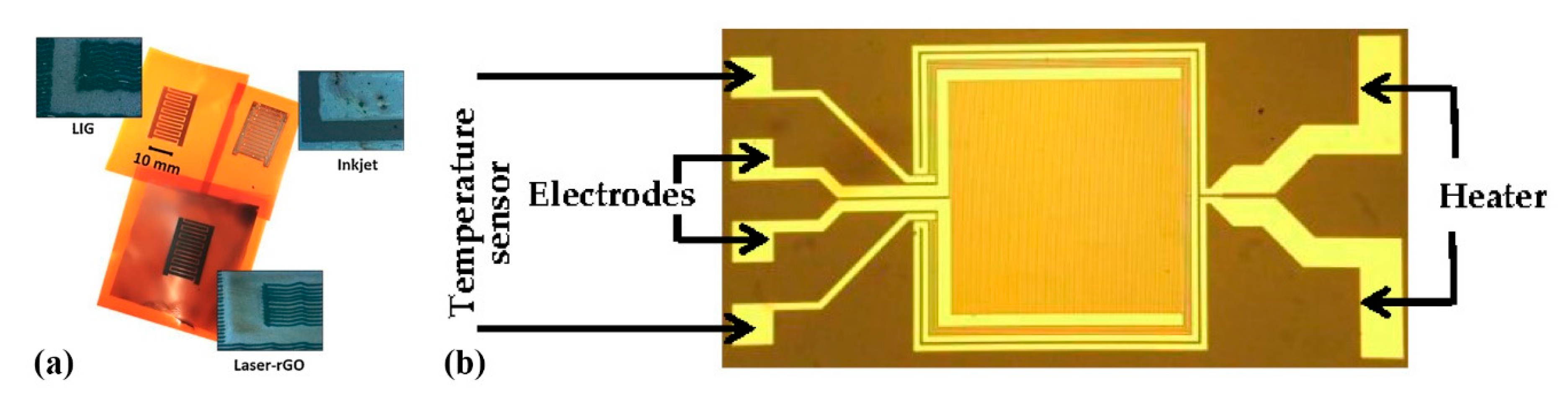 Sensors 21 00739 g011