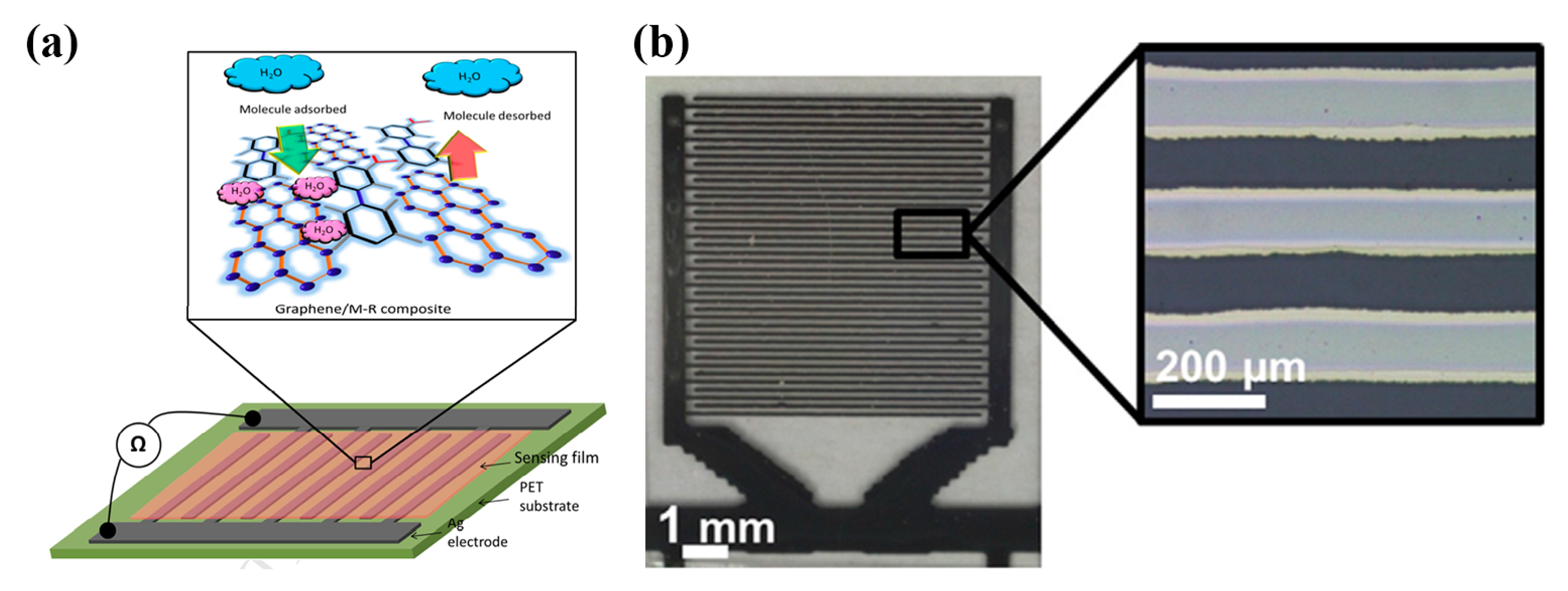 Sensors 21 00739 g012