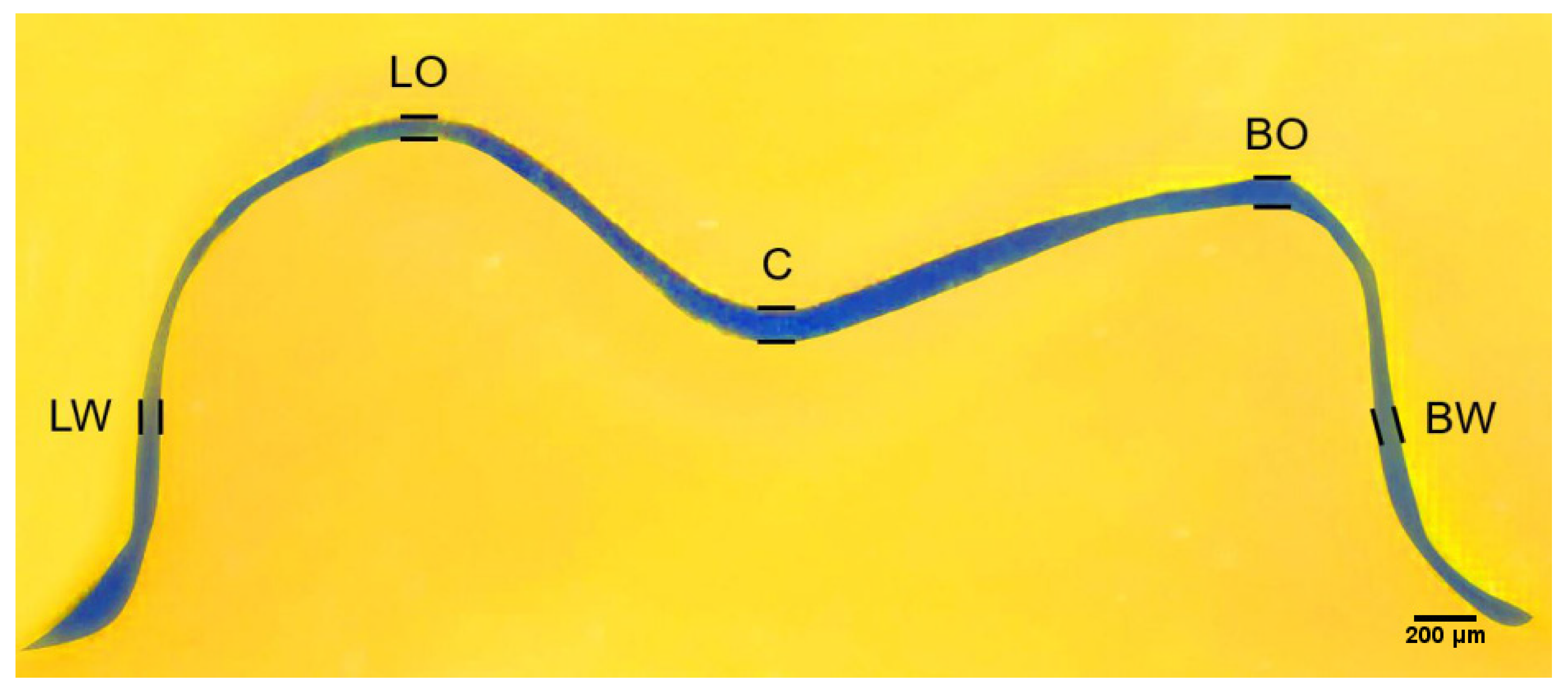 Sensors 21 00740 g002