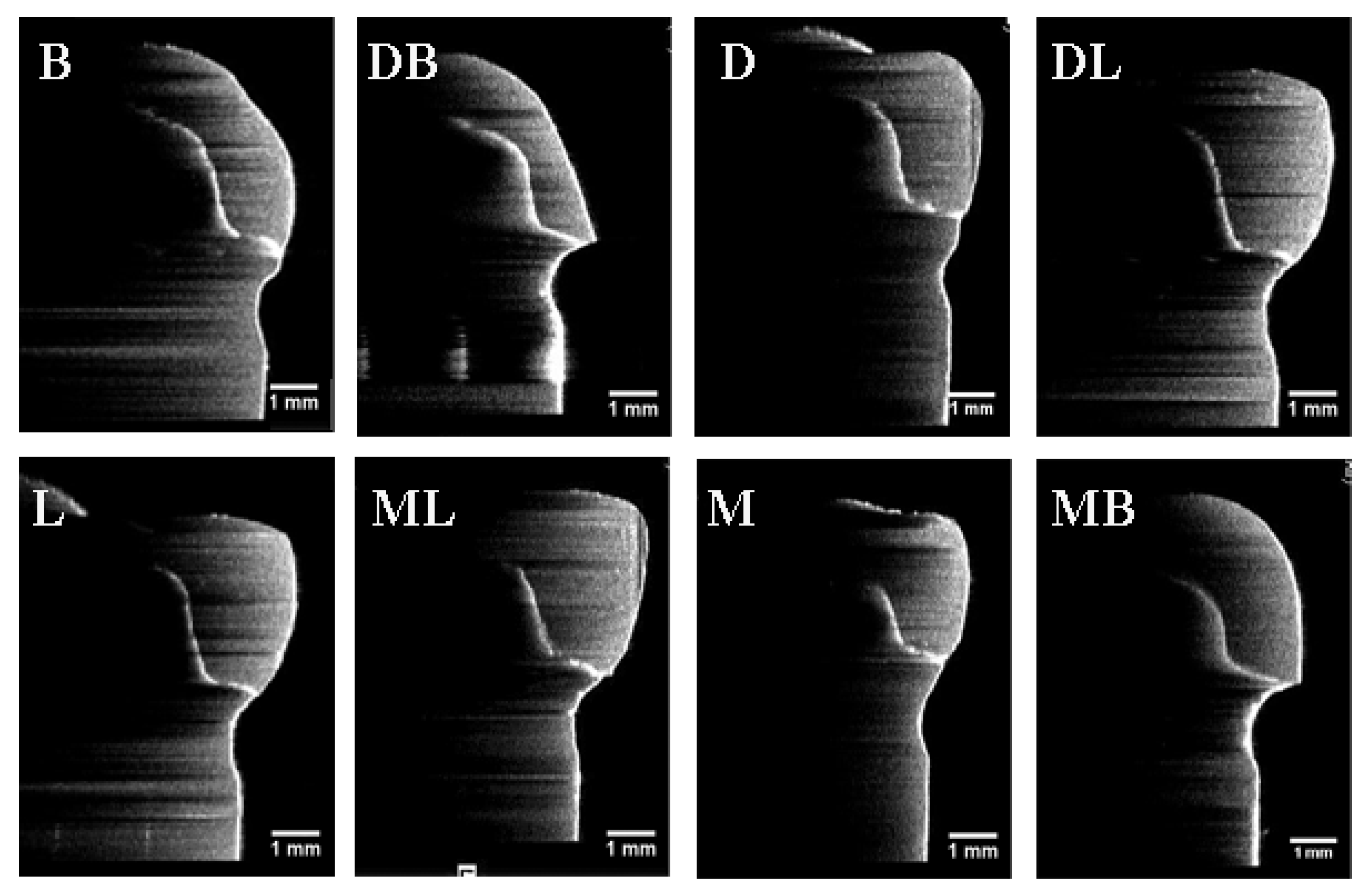 Sensors 21 00740 g005