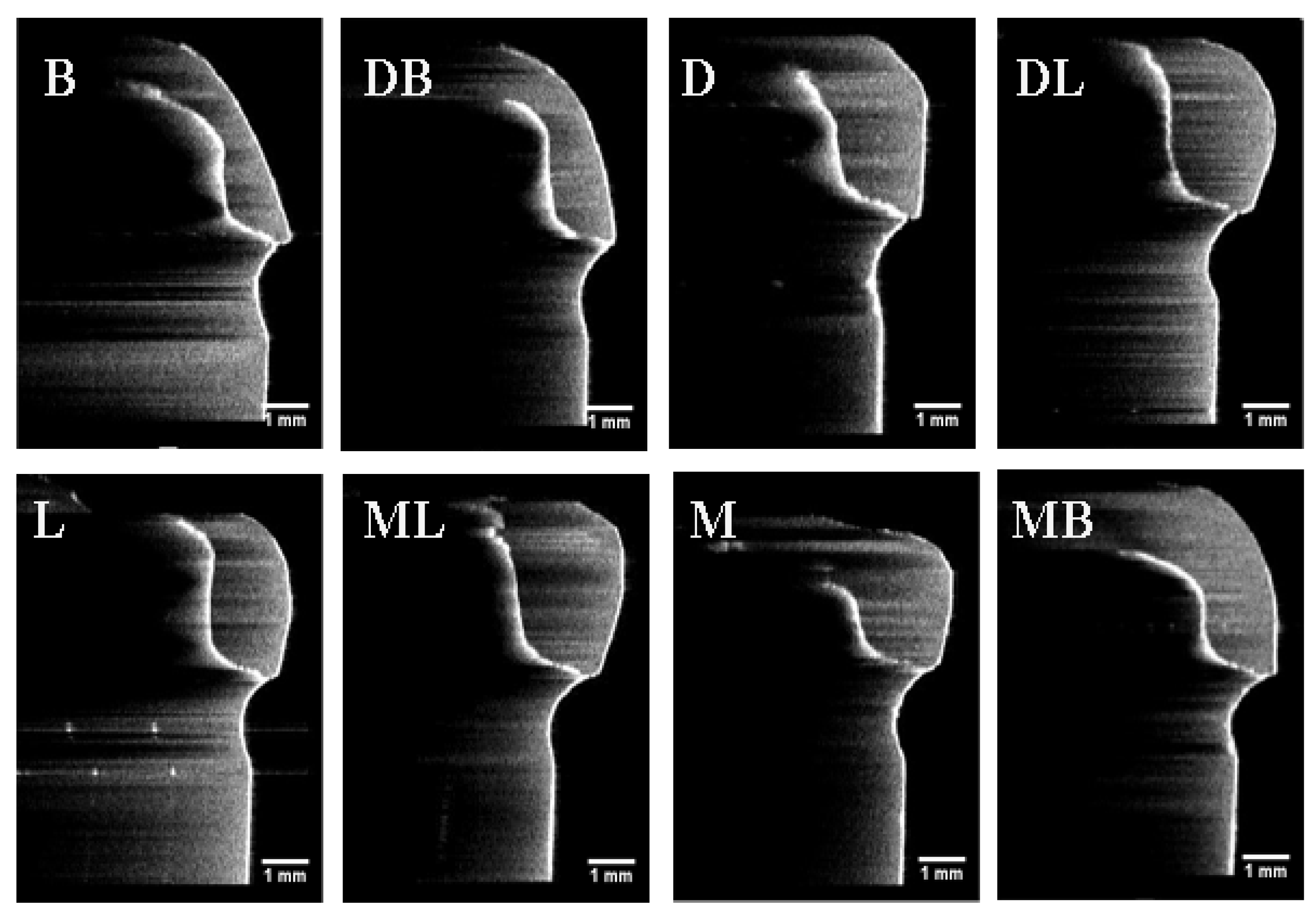 Sensors 21 00740 g007