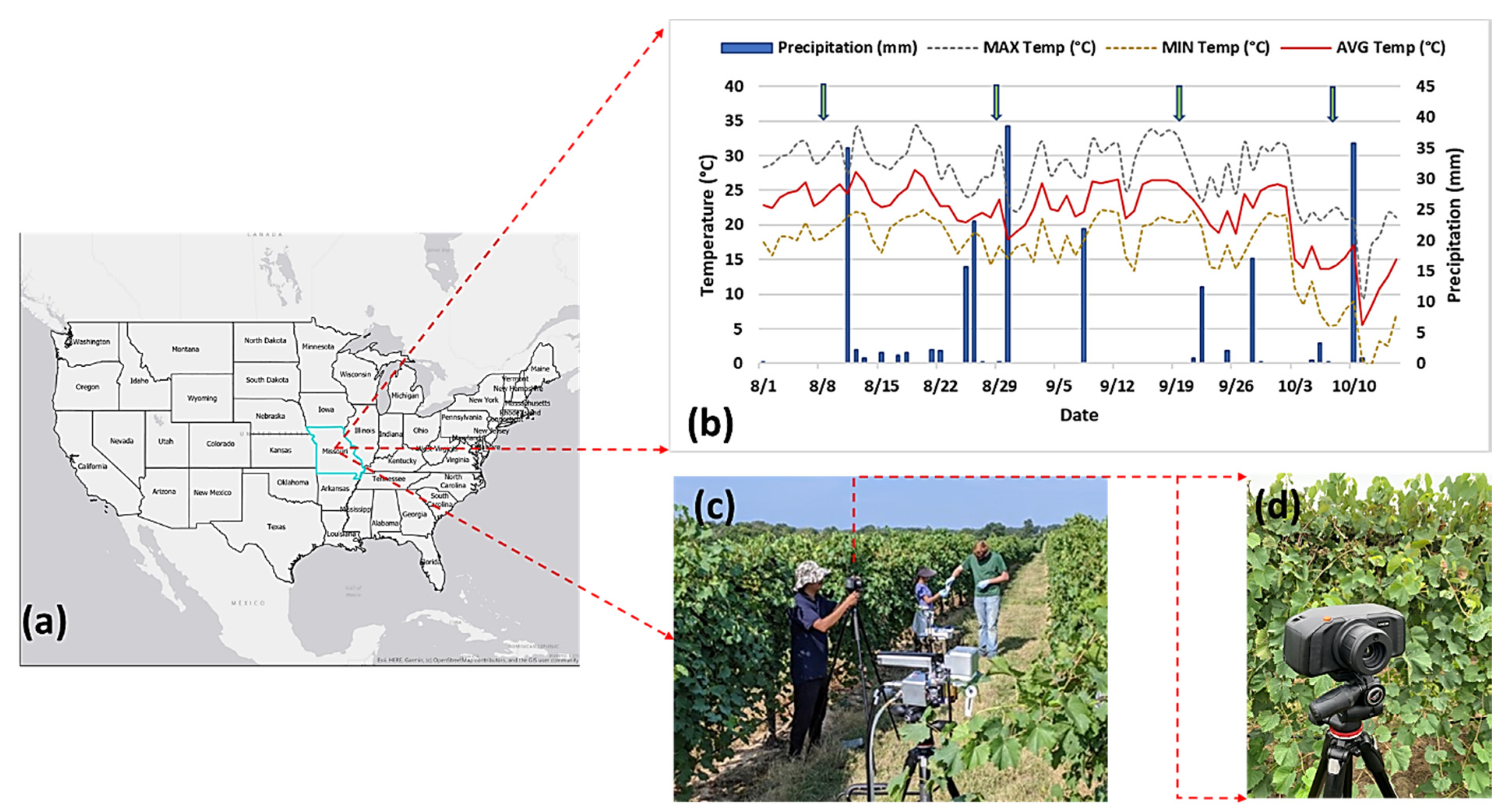 Sensors 21 00742 g001