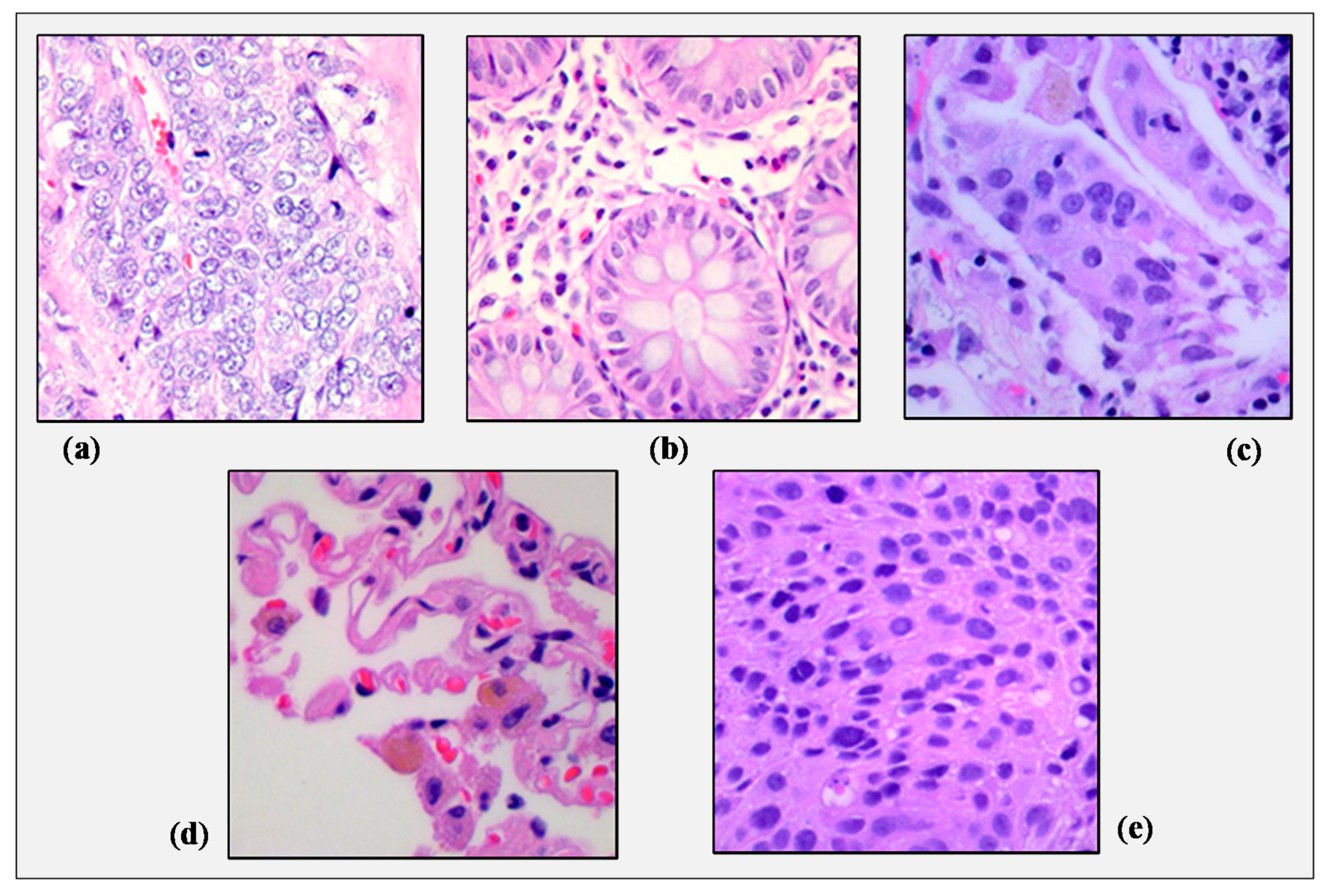 Sensors 21 00748 g001 Sensors 21 00748 g001