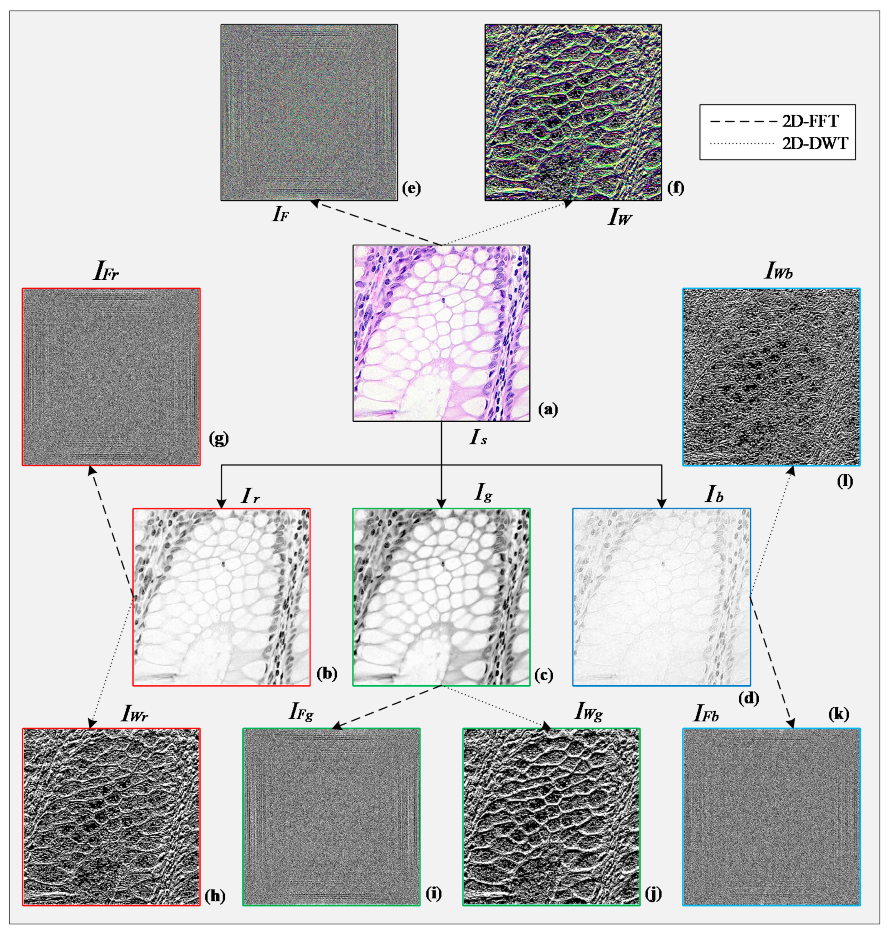 Sensors 21 00748 g003 Sensors 21 00748 g003