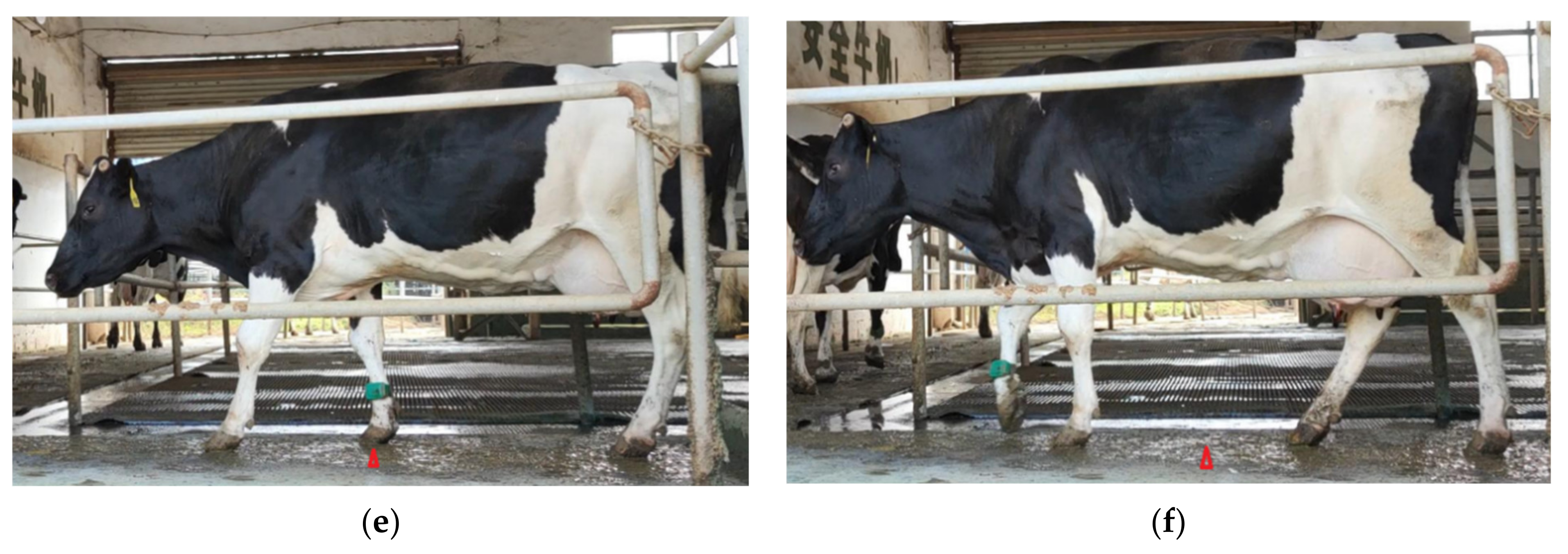 Sensors 21 00753 g003b