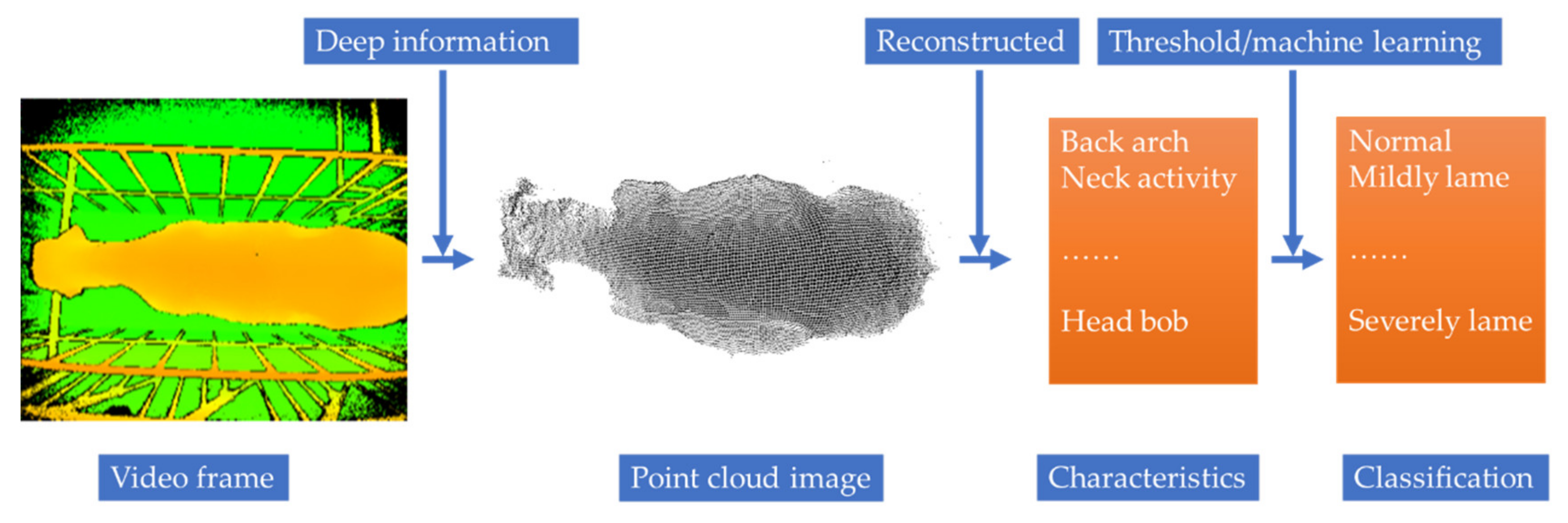 Sensors 21 00753 g005