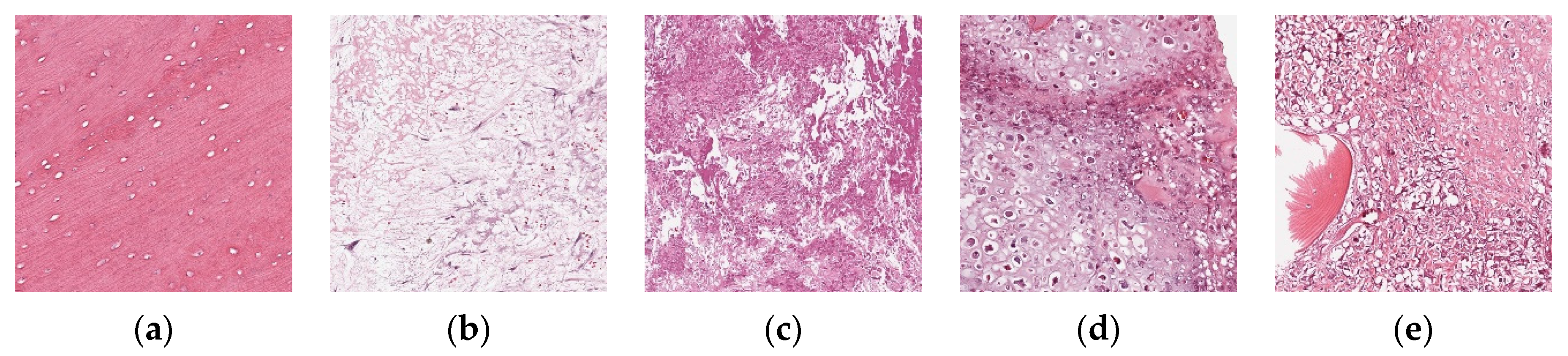 Sensors 21 00764 g014