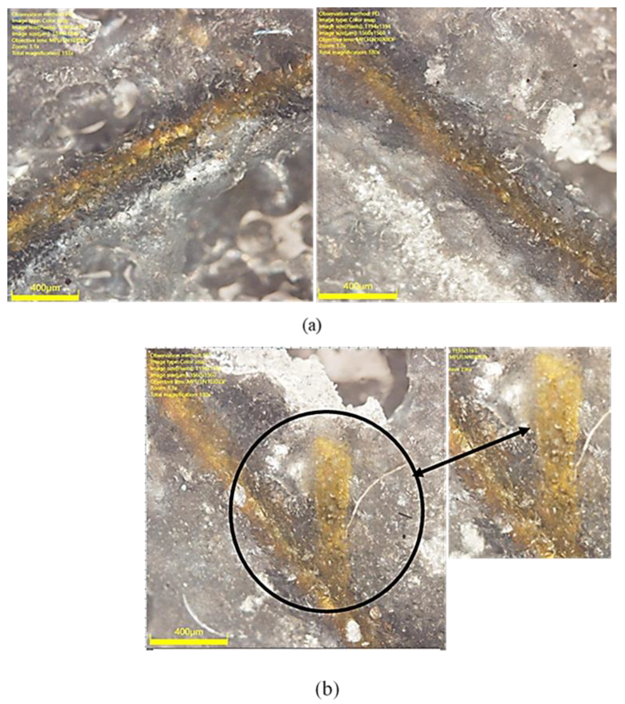 Sensors 21 00782 g019