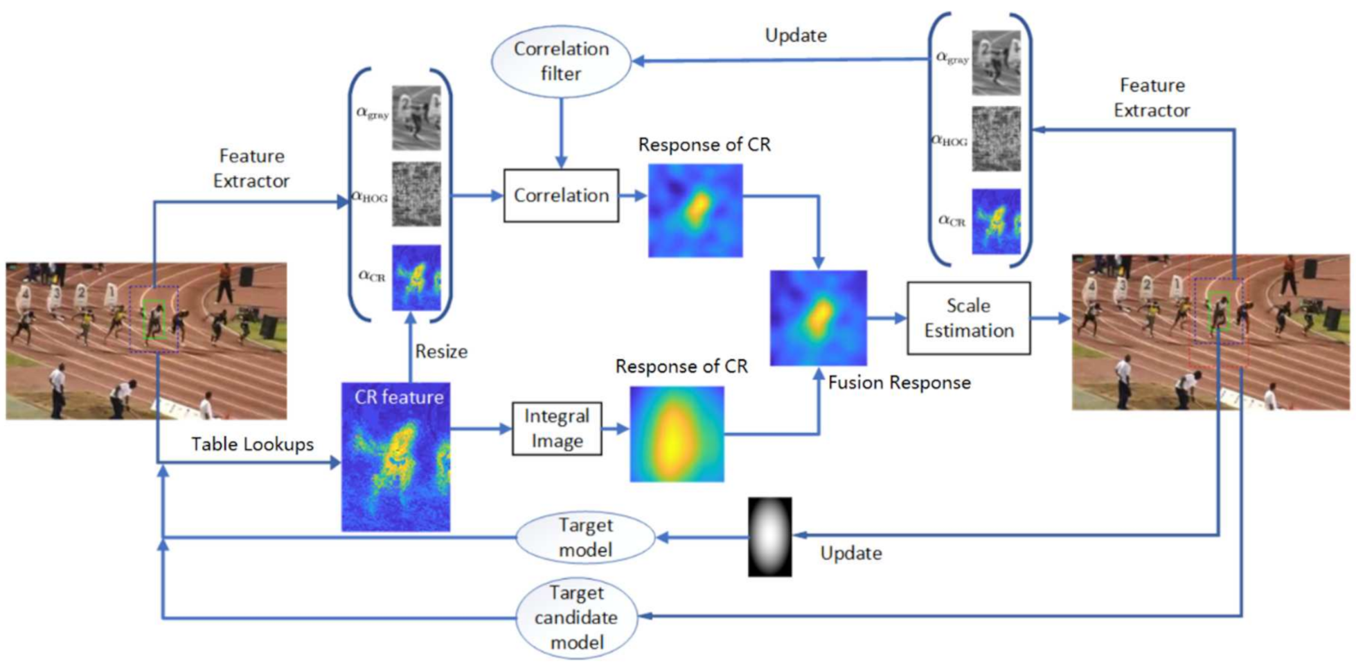 Sensors 21 00790 g001 Sensors 21 00790 g001