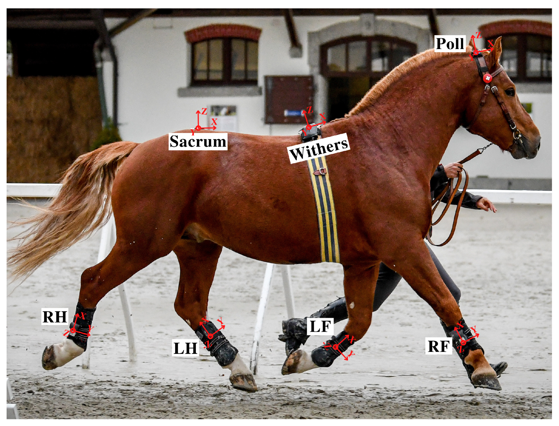 Sensors 21 00798 g002