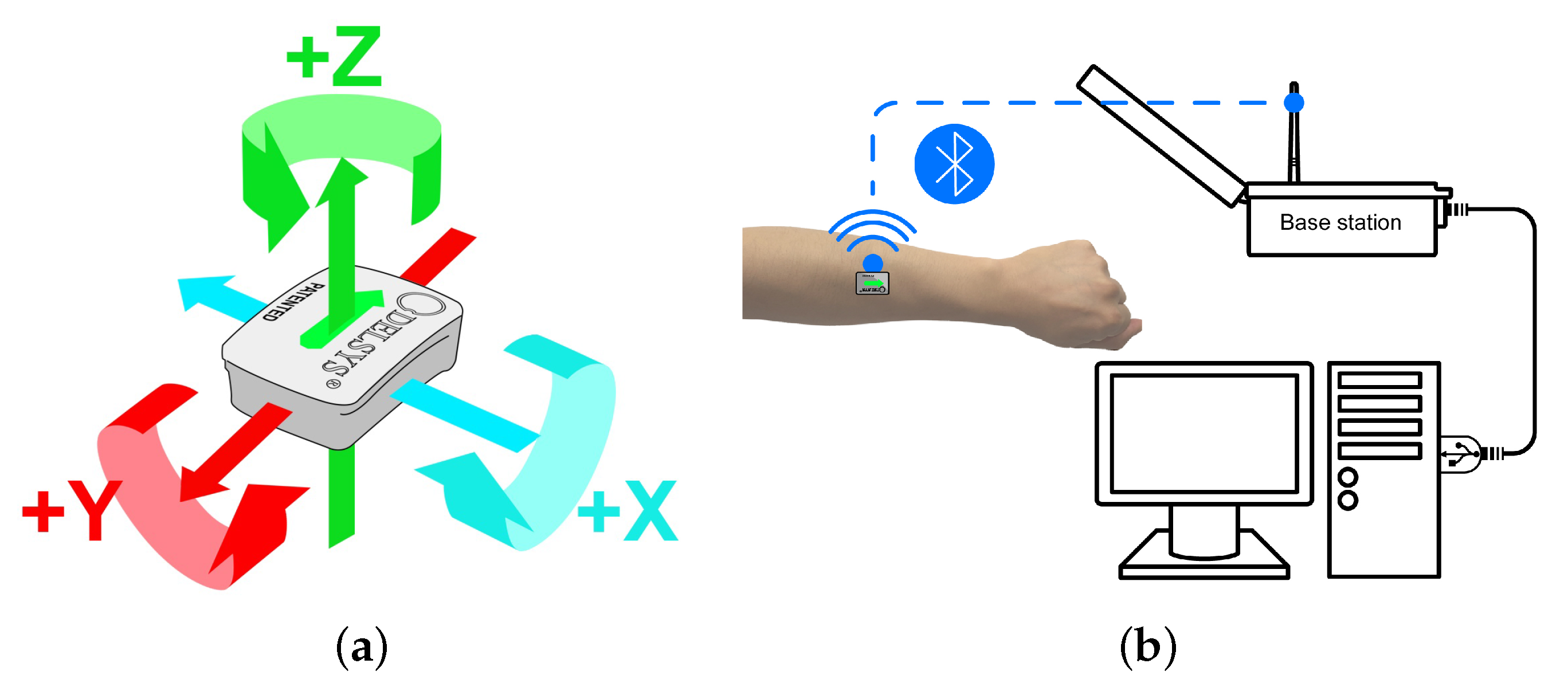 Sensors 21 00799 g001