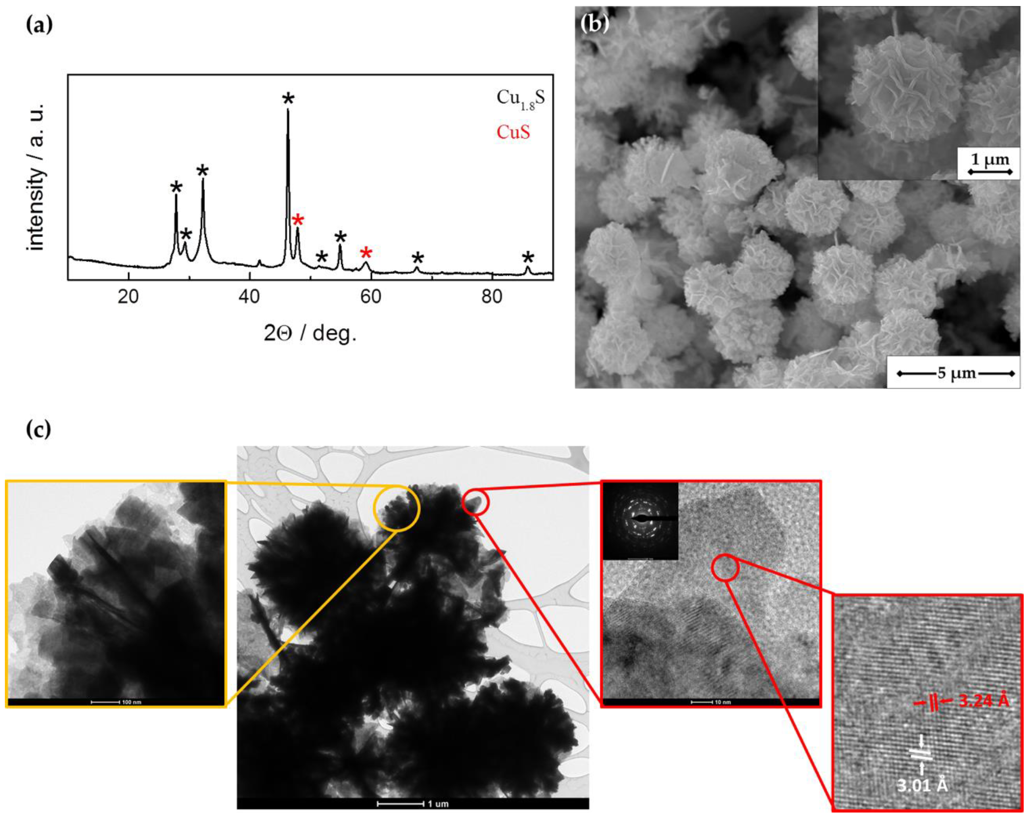 Sensors 21 00802 g001 Sensors 21 00802 g001
