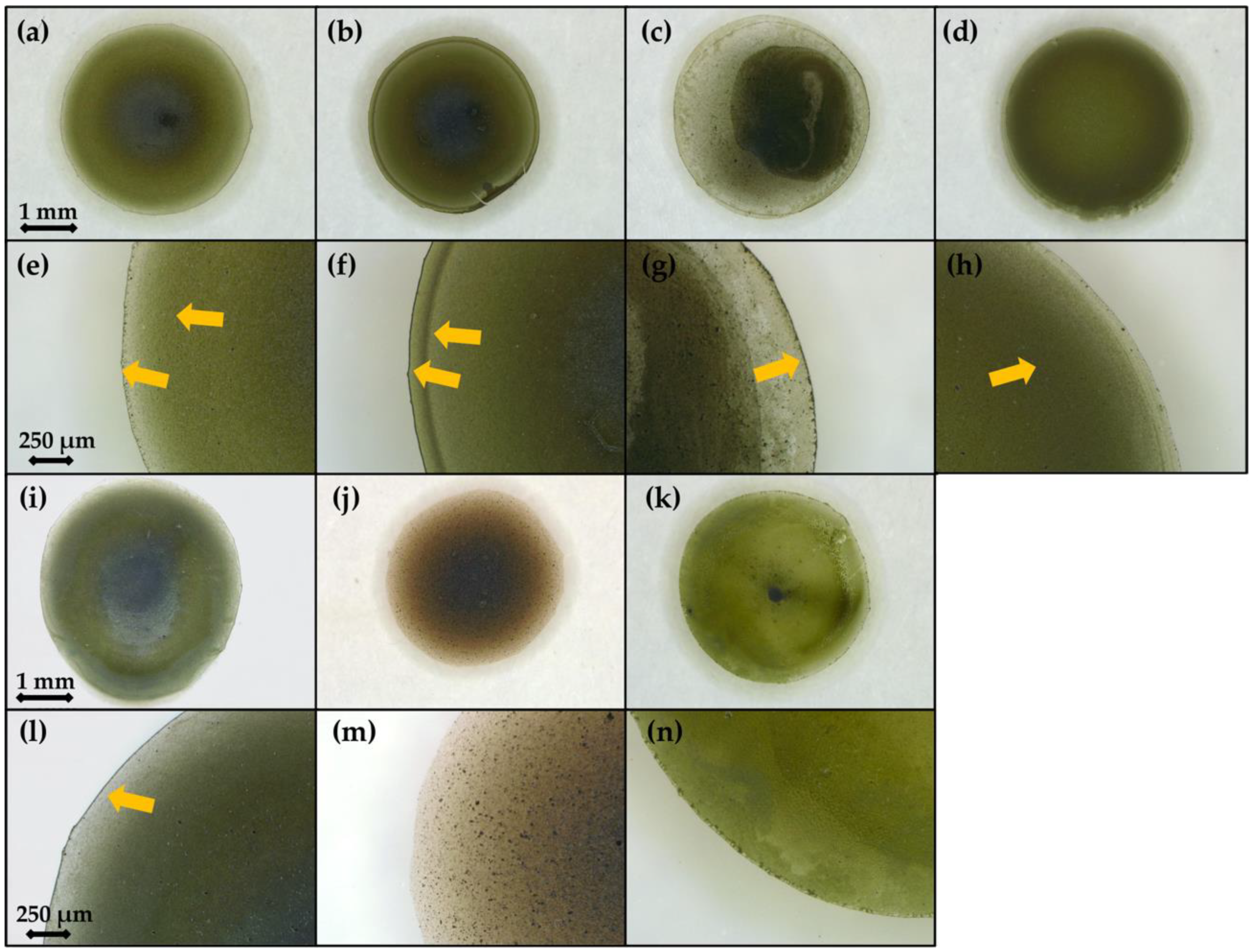 Sensors 21 00802 g003 Sensors 21 00802 g003