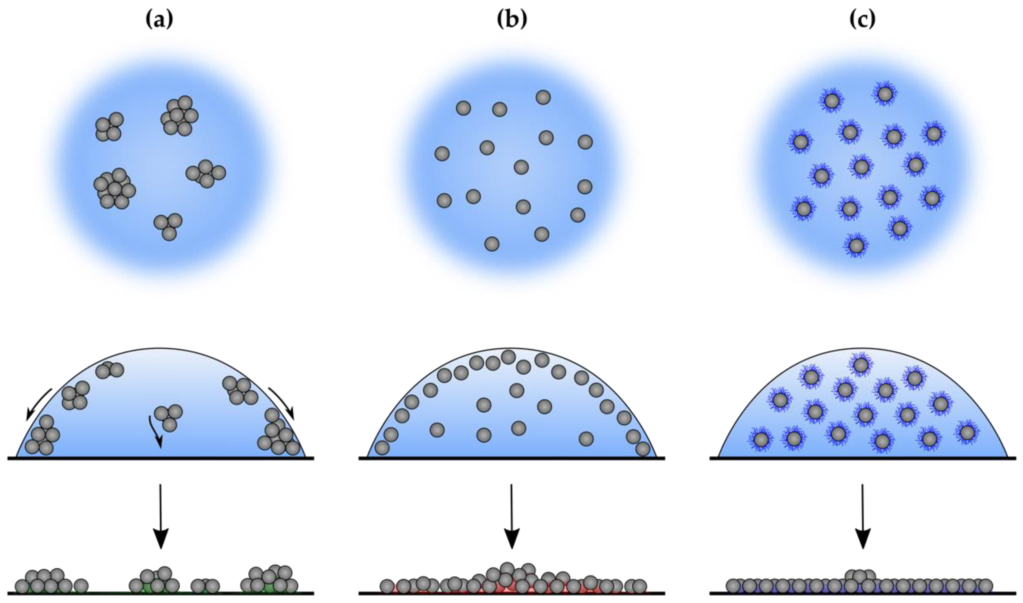 Sensors 21 00802 g010 Sensors 21 00802 g010