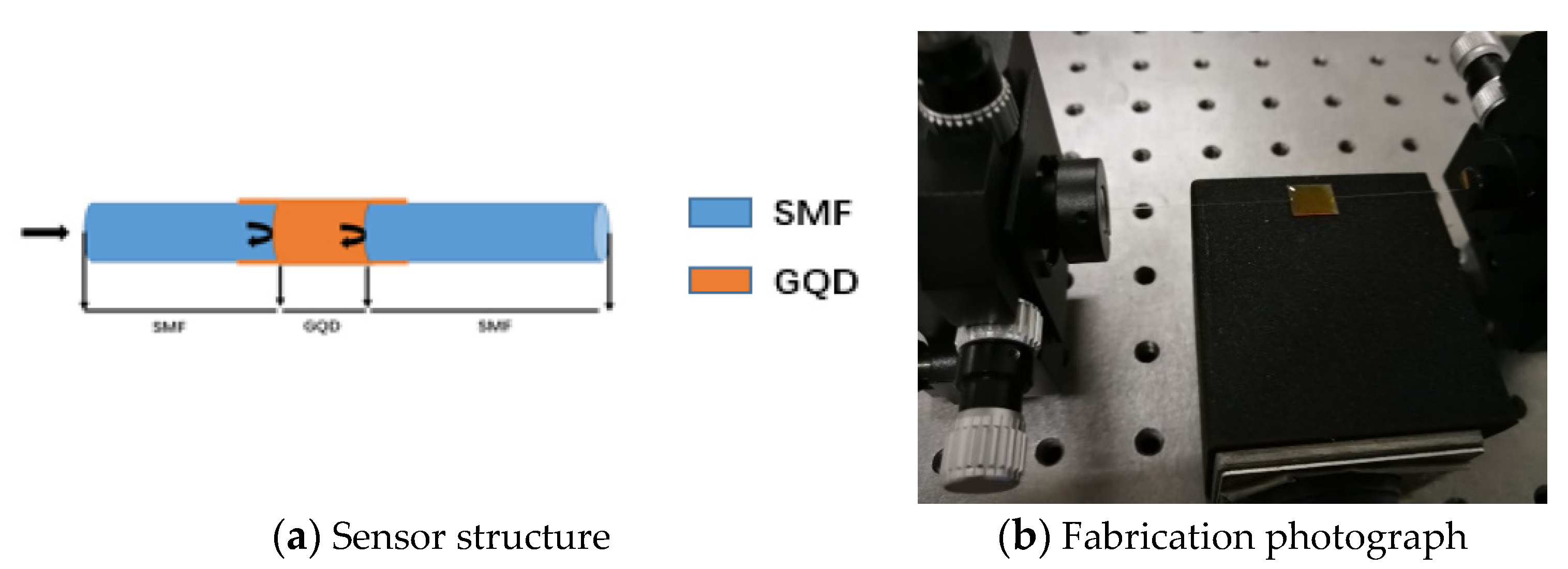 Sensors 21 00806 g001