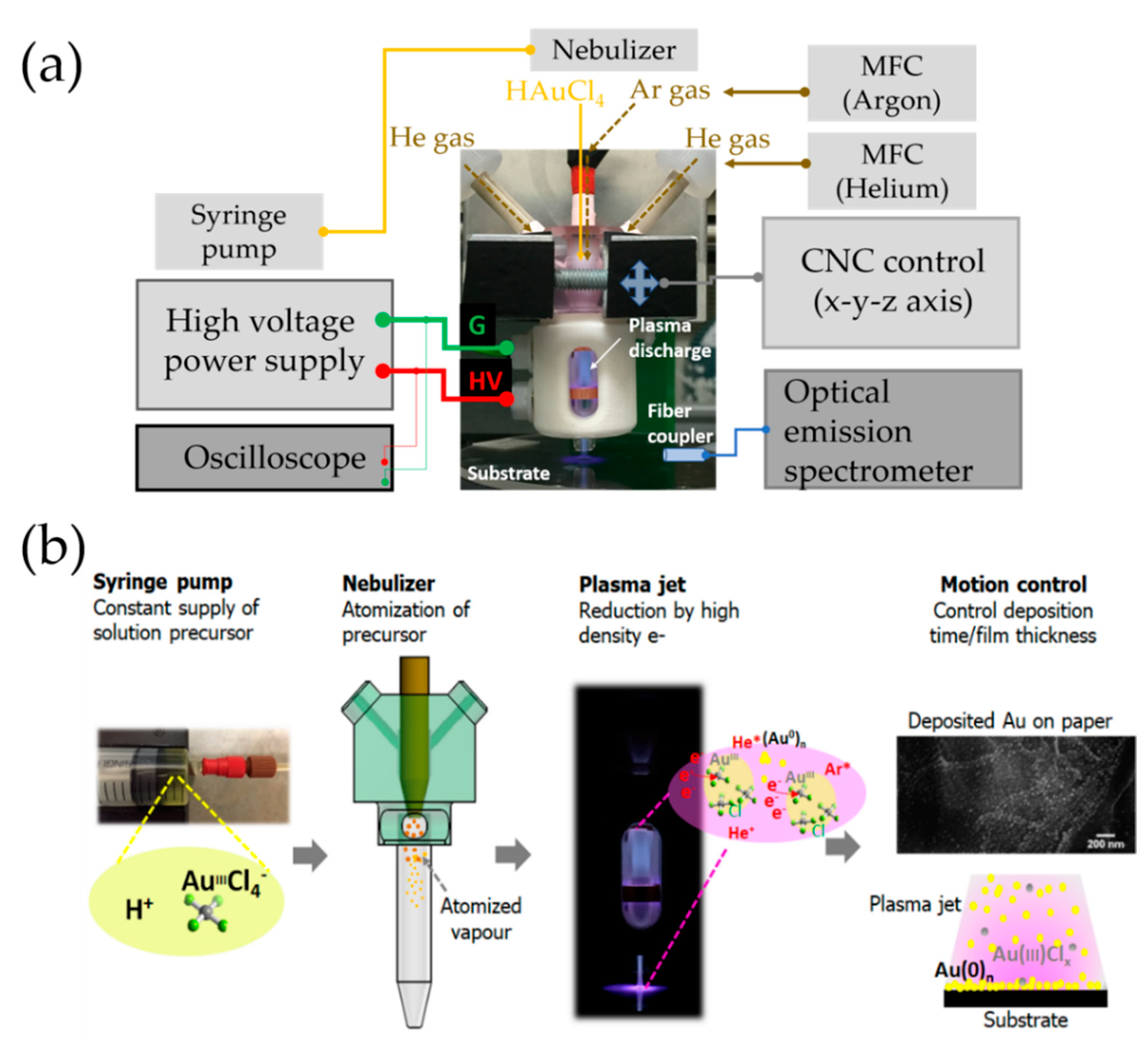 Sensors 21 00810 g001