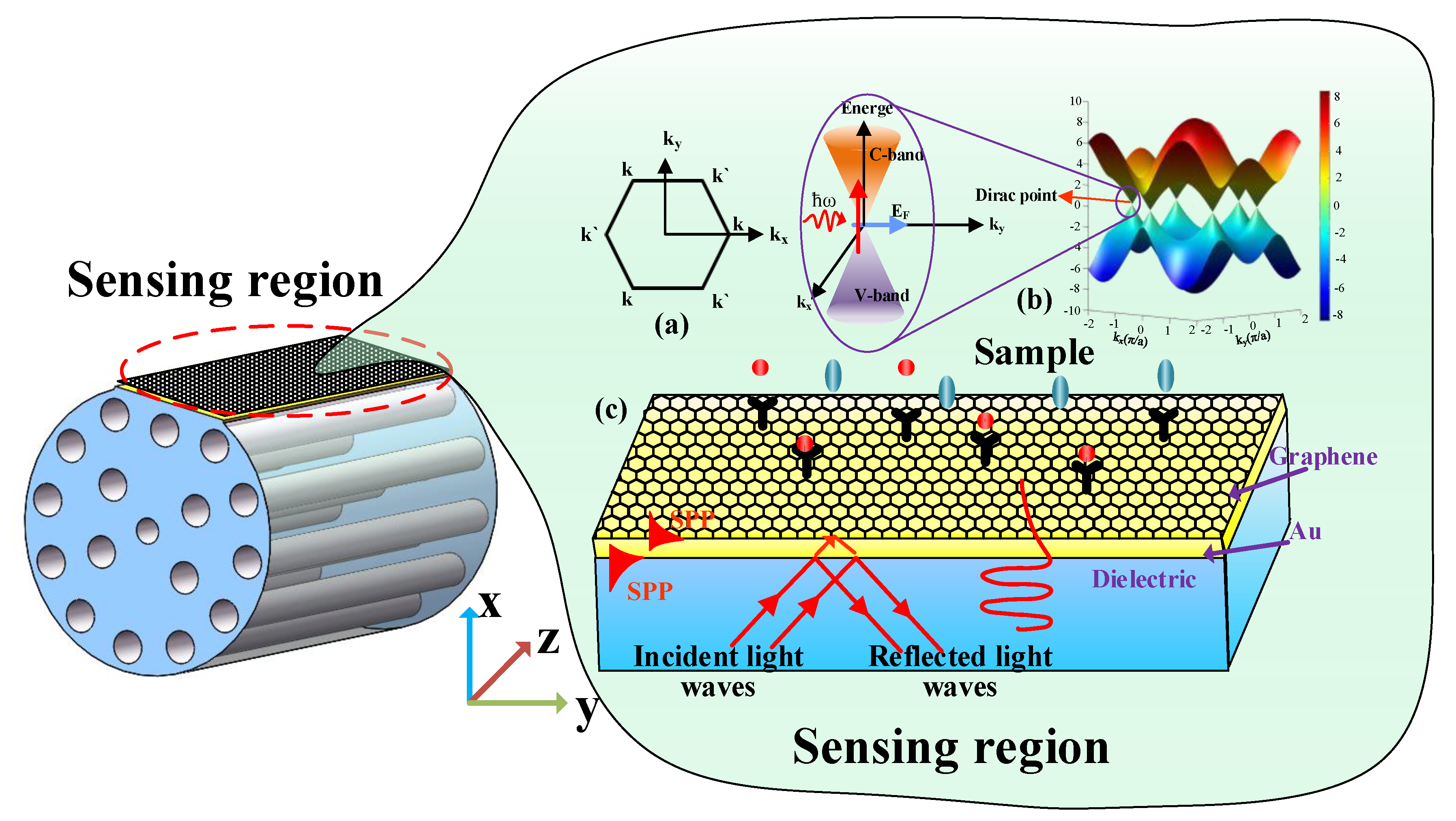 Sensors 21 00818 g001