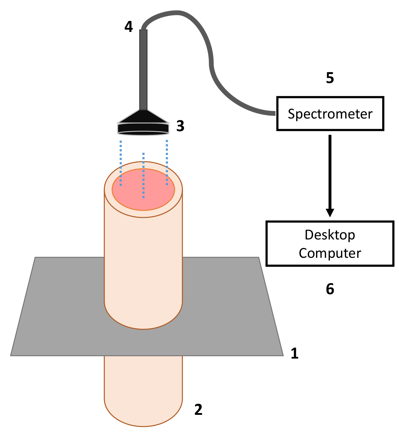 Sensors 21 00842 g003