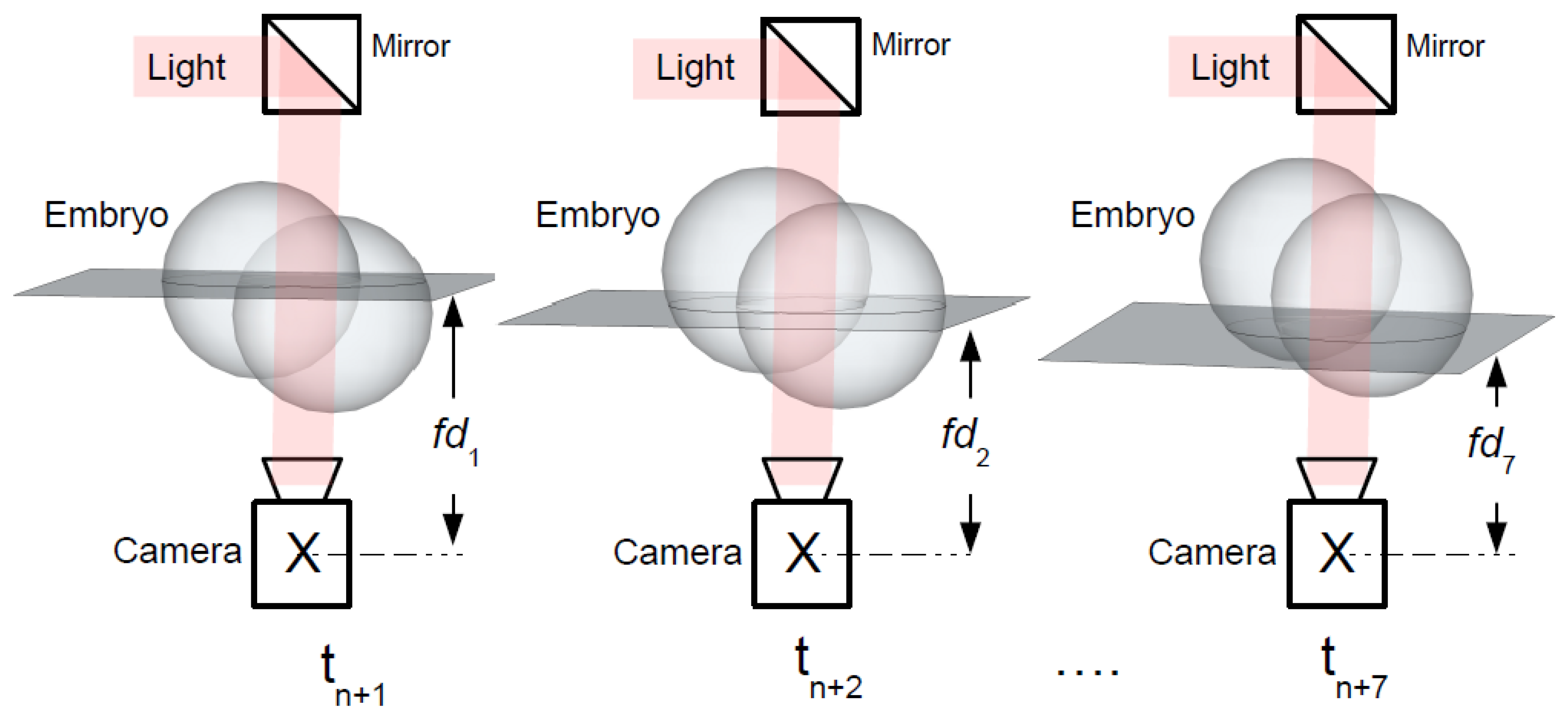 Sensors 21 00863 g002