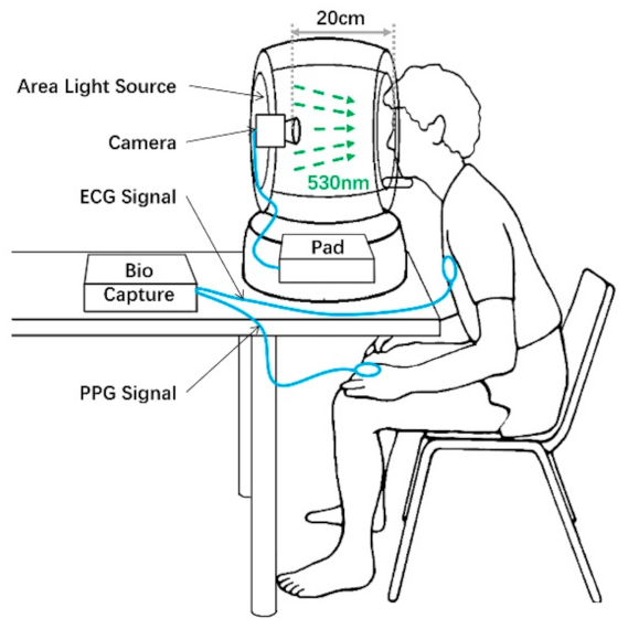 Sensors 21 00872 g003