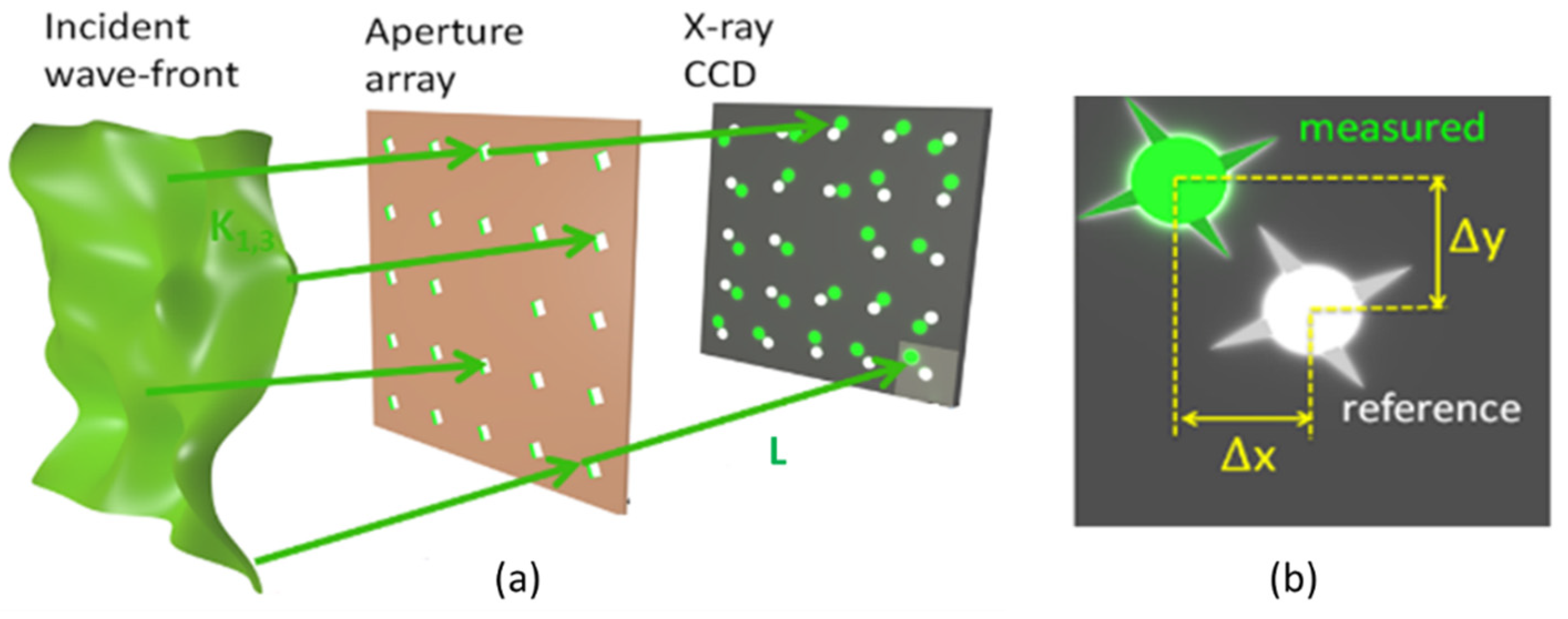 Sensors 21 00874 g001