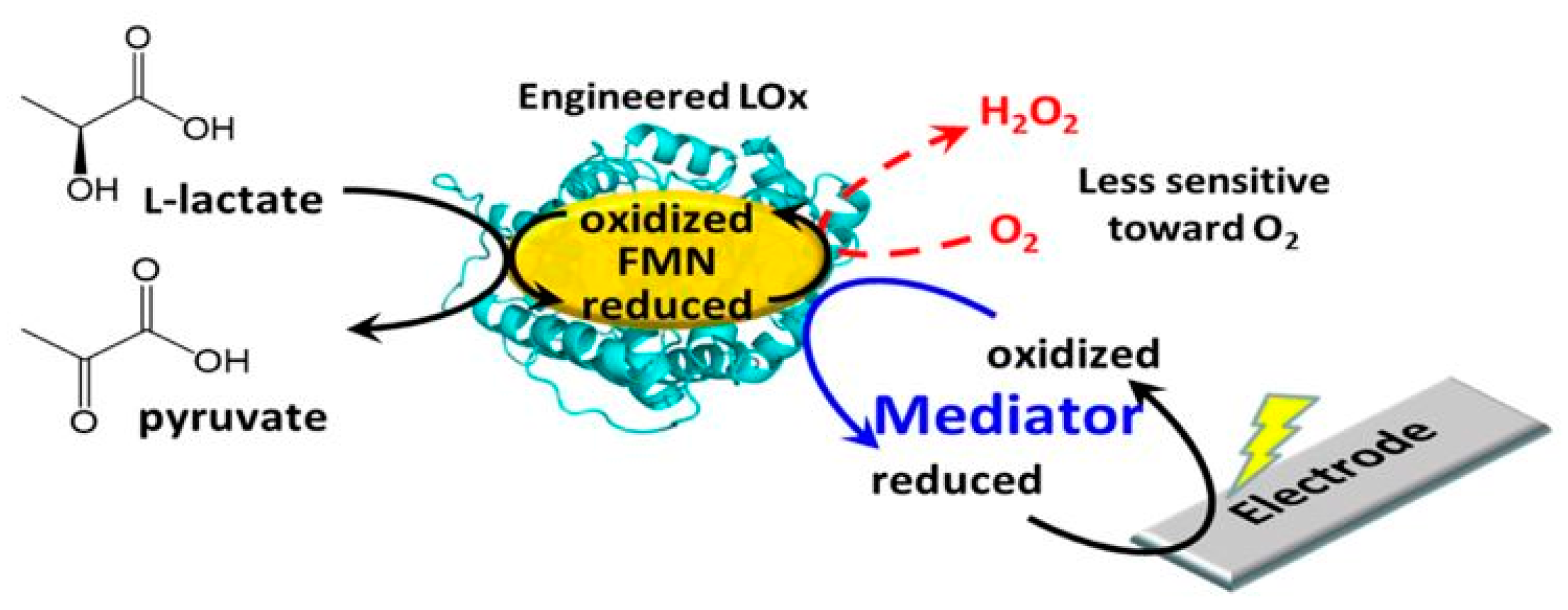 Sensors 21 00879 g002