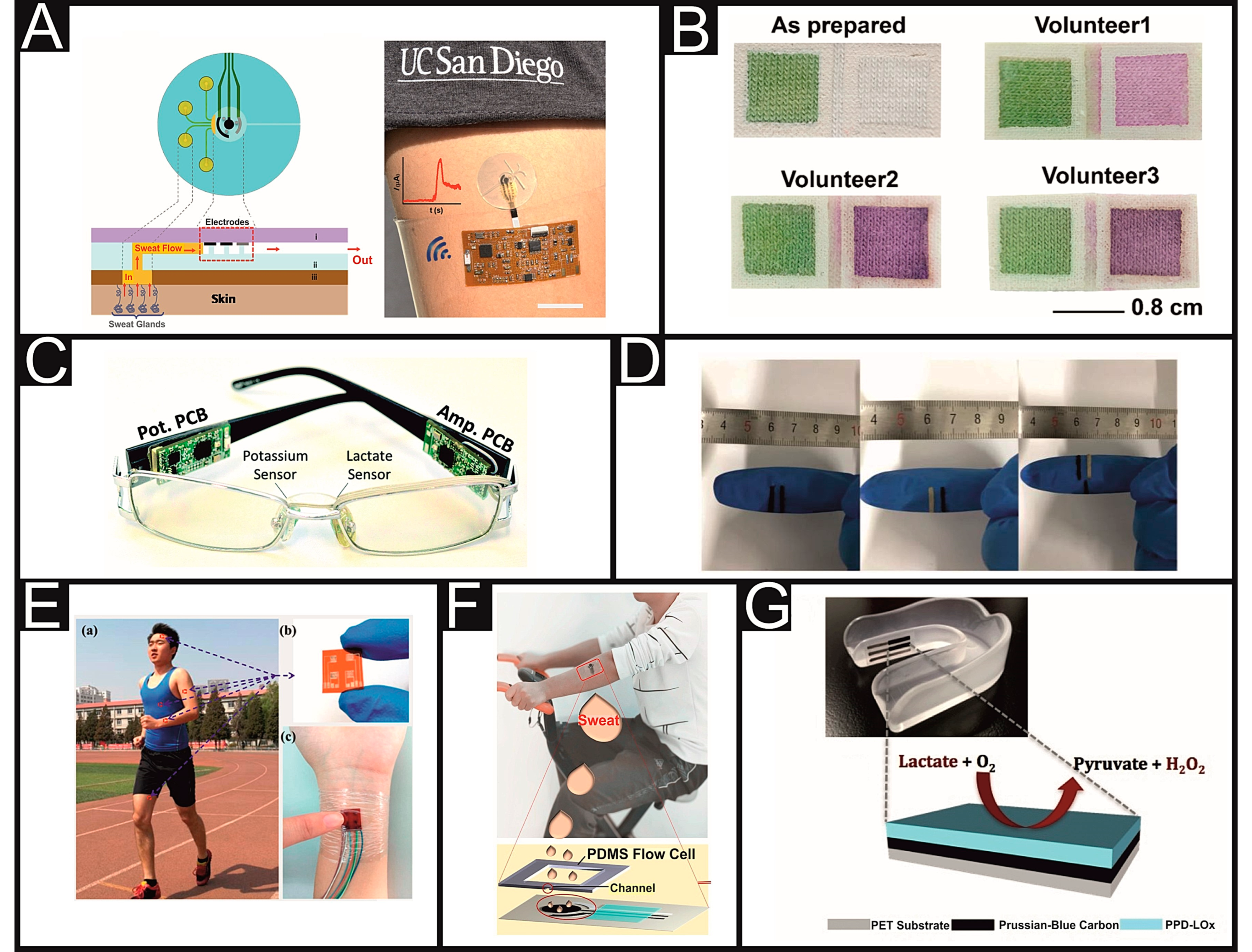 Sensors 21 00879 g003