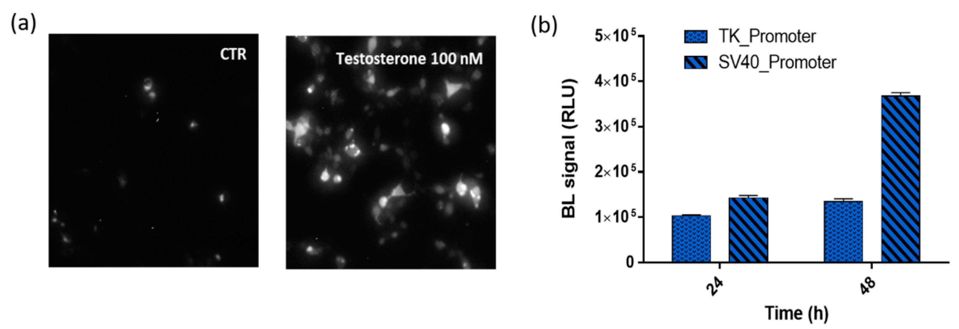 Sensors 21 00893 g003