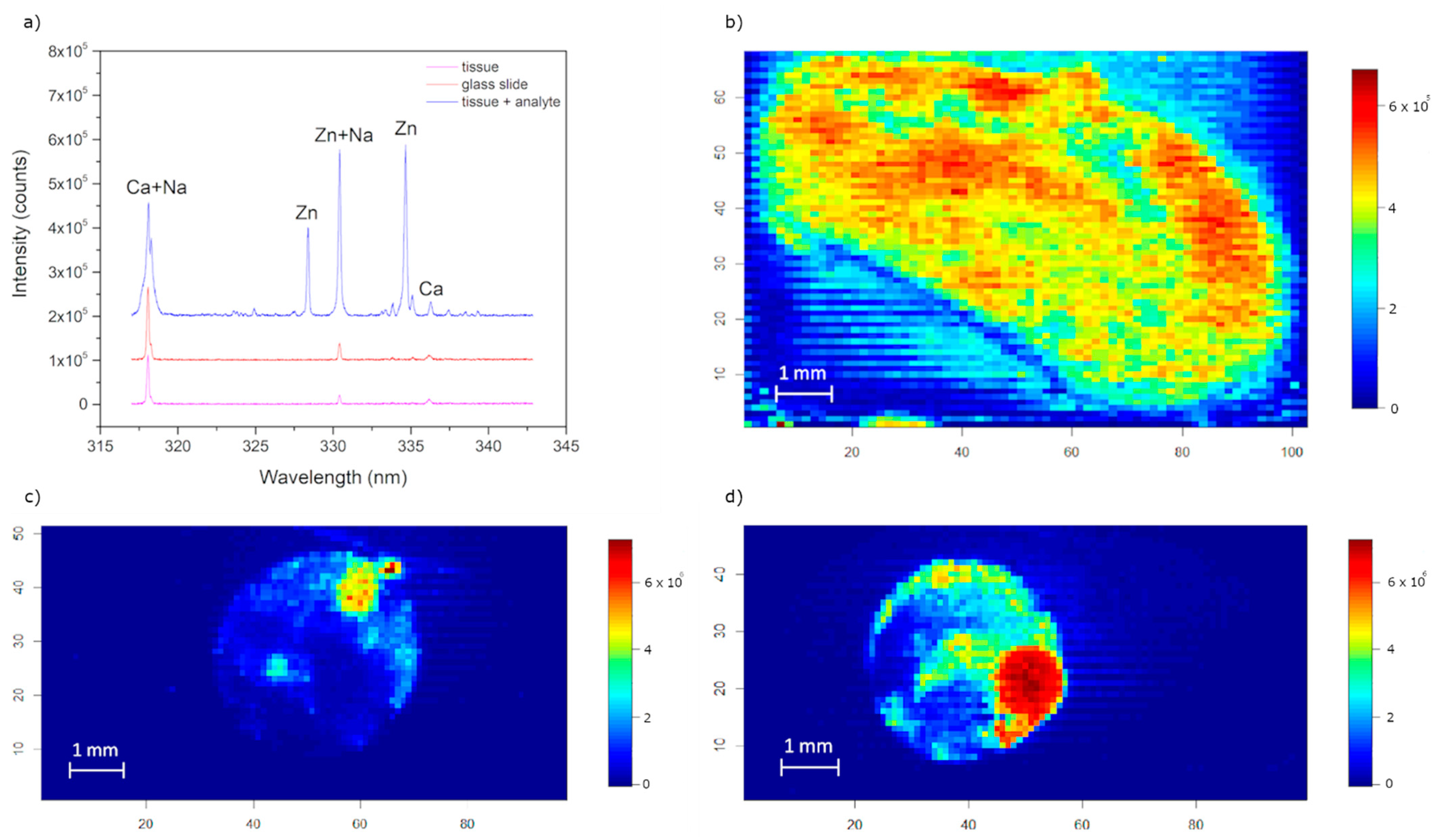 Sensors 21 00900 g001
